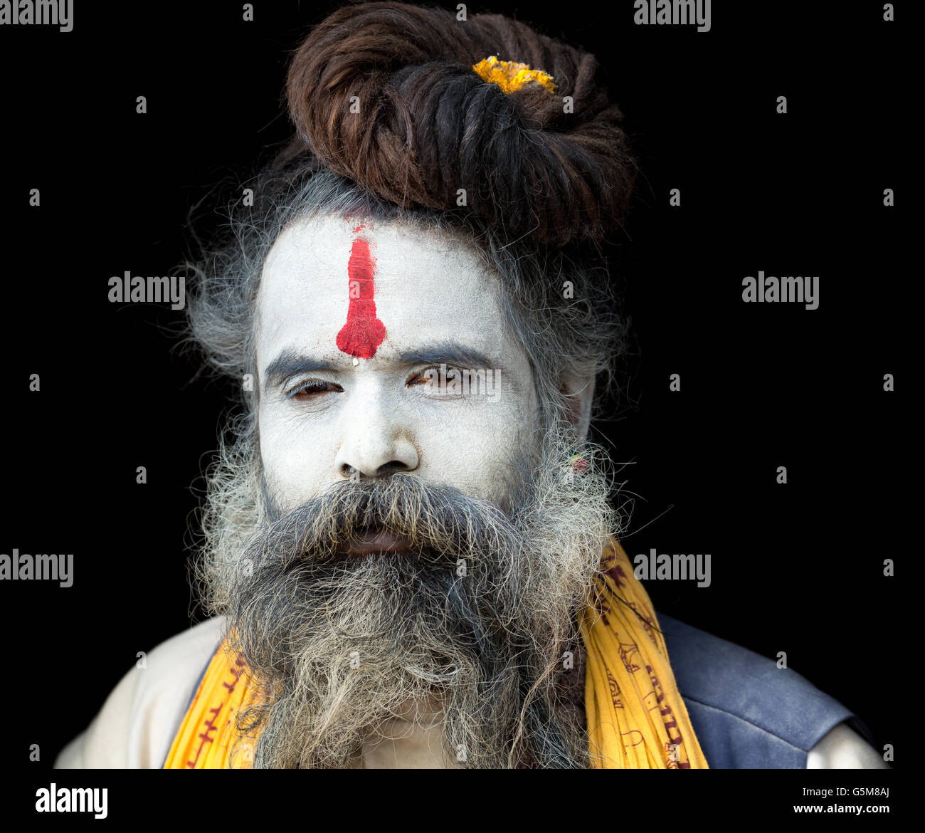 Ritratto di un Sadhu, santo uomo, tempio di Pashupatinath, Kathmandu, Nepal Foto Stock