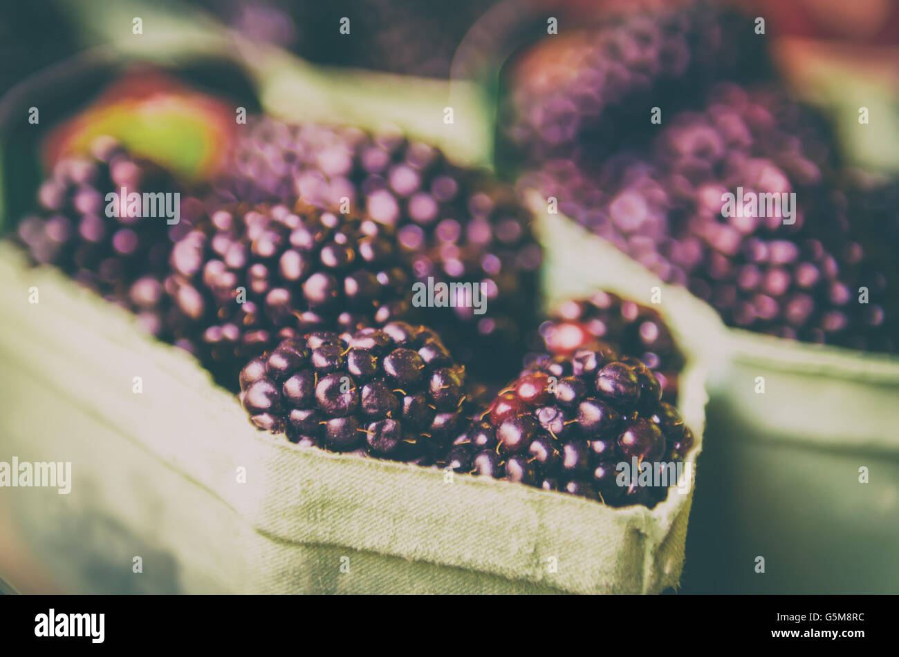 Blackberry al mercato Foto Stock