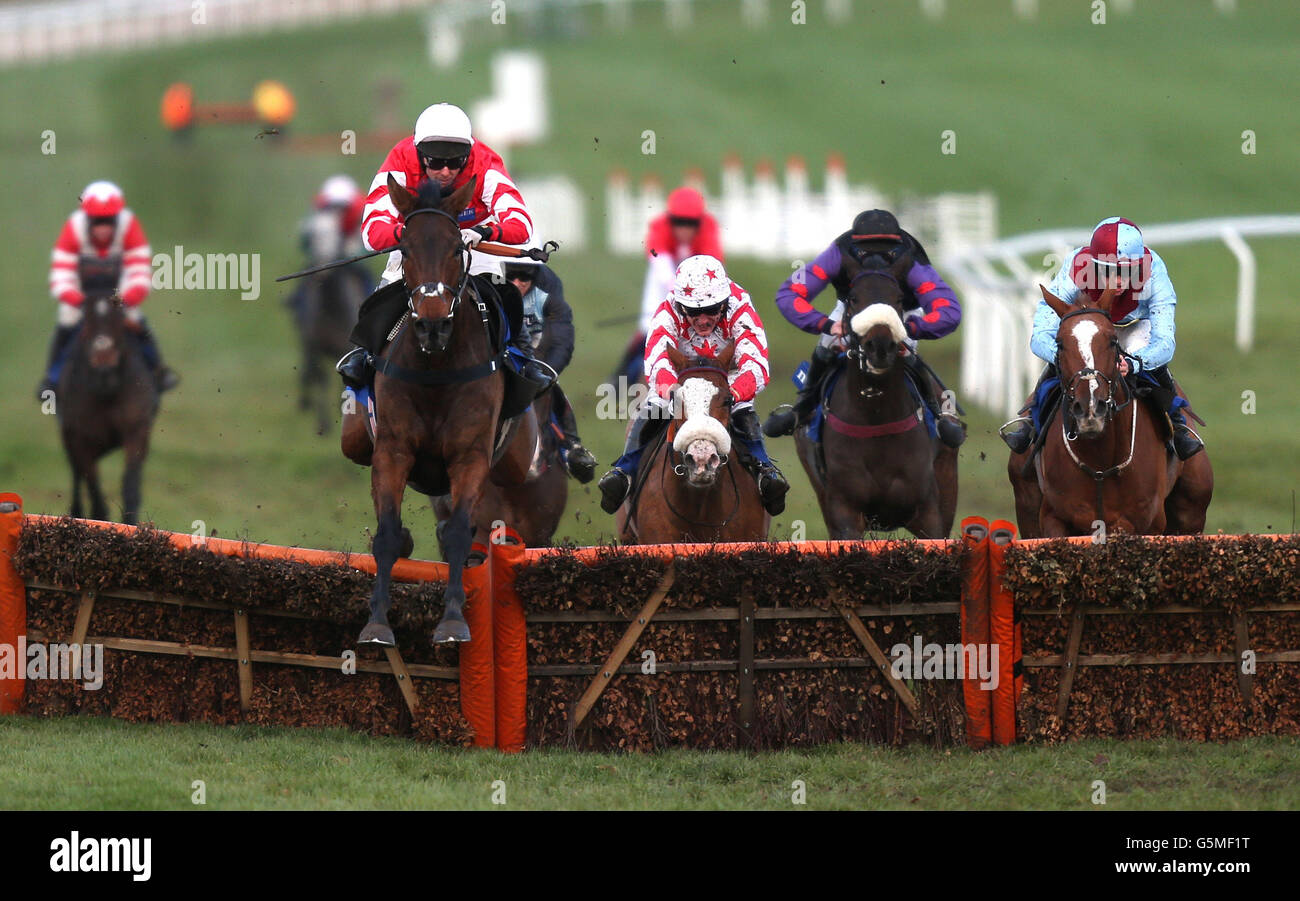 Coneygare guidato da Mattie Batchelor salta l'ultimo sulla loro strada per la vittoria nel Neptune Investment Management Novices&acute; hurdle durante la Domenica aperta a Cheltenham Racecourse, Cheltenham. Foto Stock