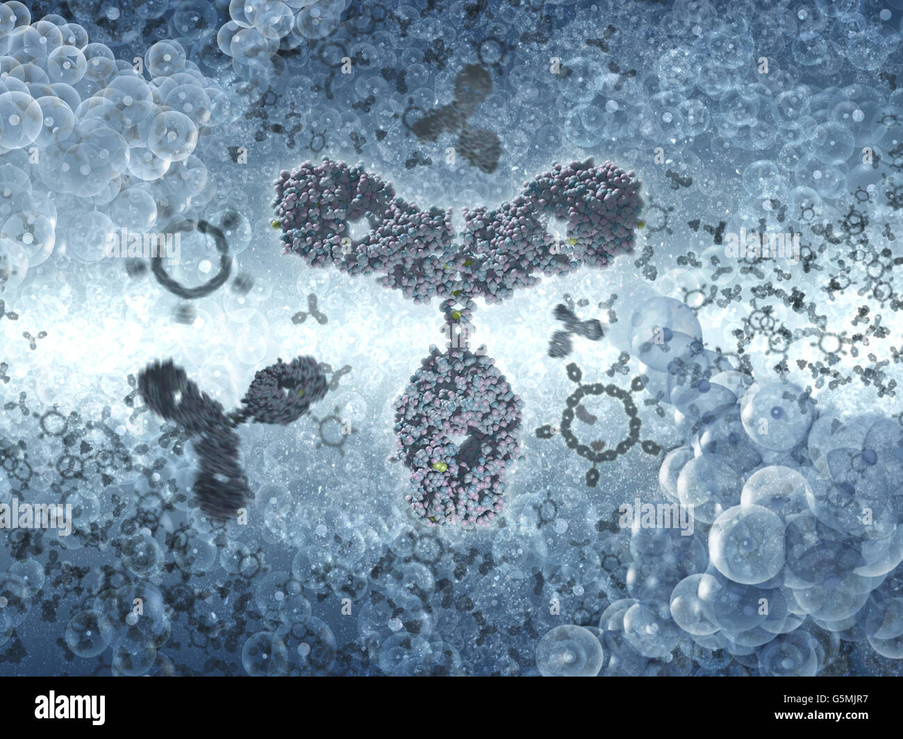 Anticorpo a.k.a. L'immunoglobulina G (IgG) è sagomata a Y di proteine e di parte del sistema immunitario umano Foto Stock