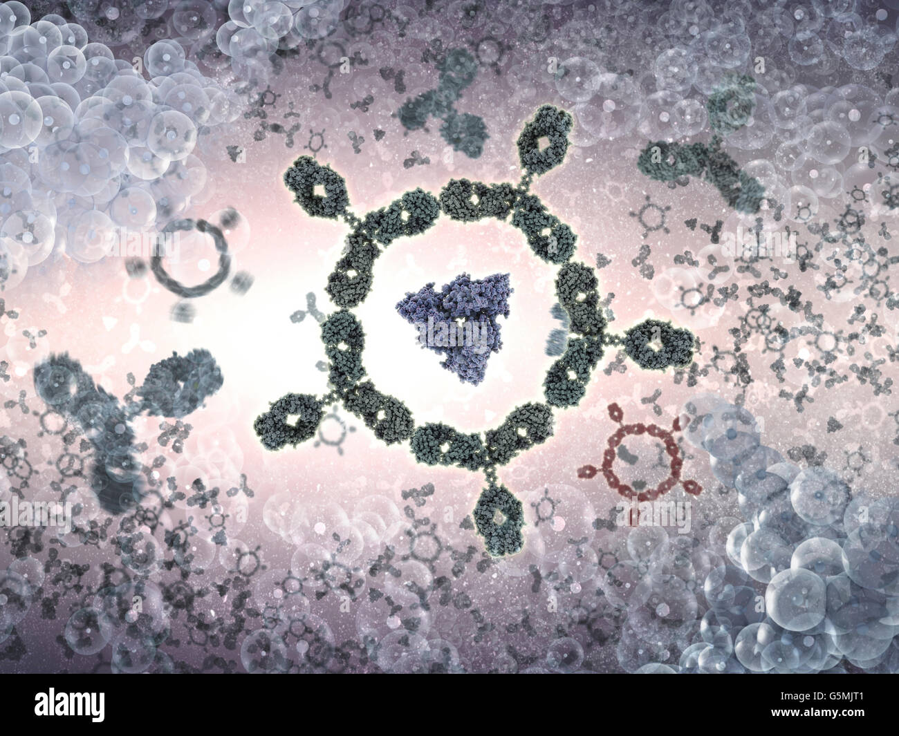 Cluster di anticorpi. Anticorpo a.k.a. L'immunoglobulina G (IgG) è sagomata a Y di proteine e di parte del sistema immunitario umano Foto Stock