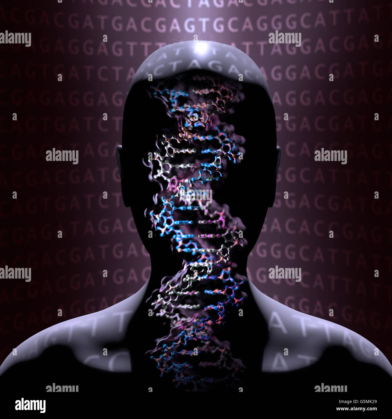 Dettaglio di un DNA a doppia elica molecola. DNA (acido desossiribonucleico) è una molecola che porta la maggior parte del codice genetico Foto Stock
