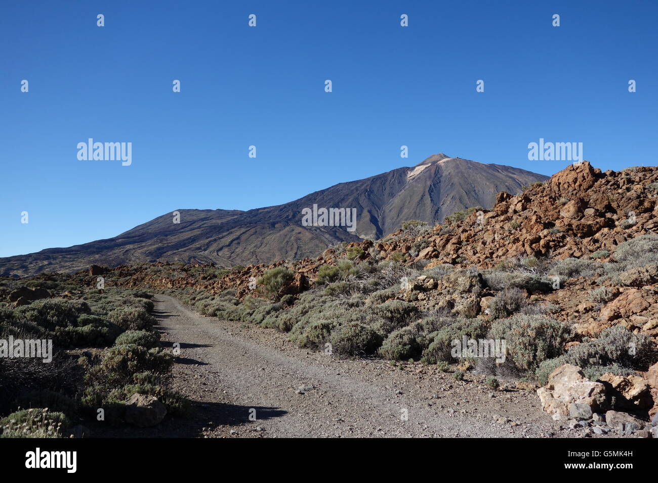 Vista sul Pico del Teide da Rura de Las Canadas, Parque National del Teide Tenerife Foto Stock