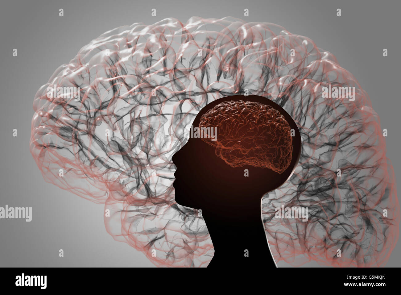 Il cervello umano. Proiezione della corteccia cerebrale Foto Stock