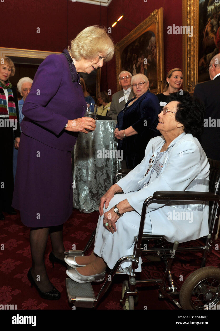 La Duchessa di Cornovaglia scuote la signora Dorothy Logan dallo Yorkshire, durante un ricevimento per i campioni di diamante WRVS (Women's Royal Voluntary Service), tenuti nelle sale di Stato del St James's Palace nel centro di Londra. Foto Stock