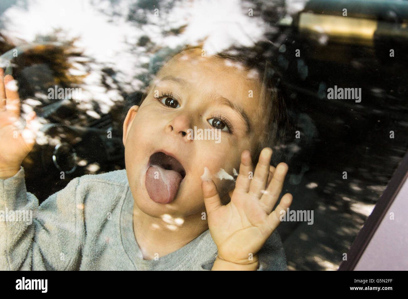 Ragazzo ispanico leccare la finestra auto Foto Stock