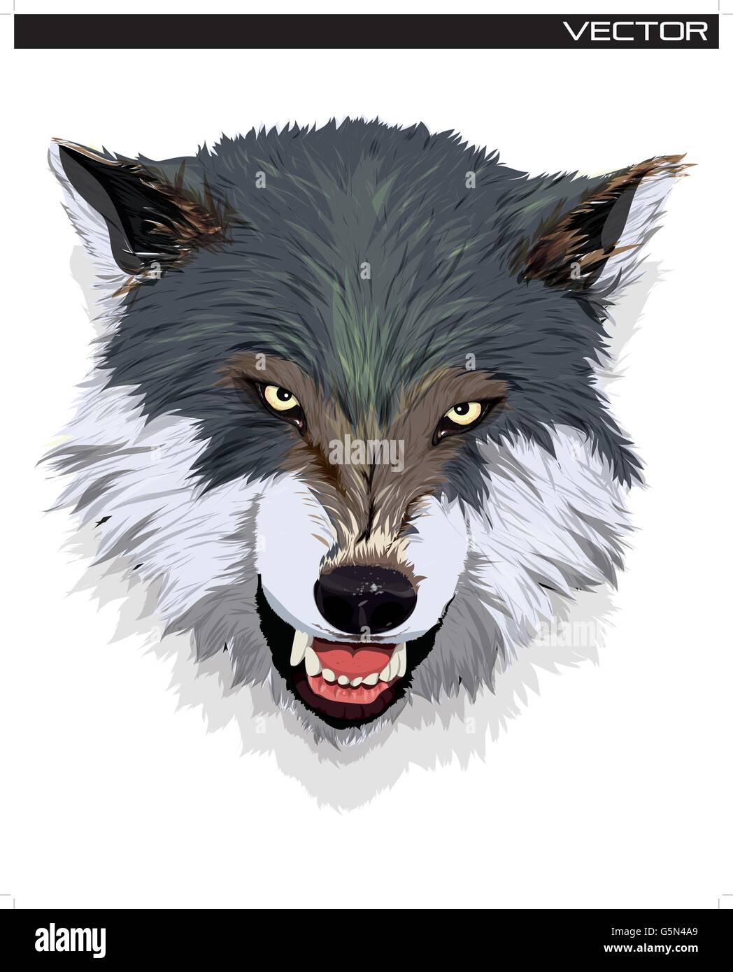 Vettore - testa di lupo Illustrazione Vettoriale