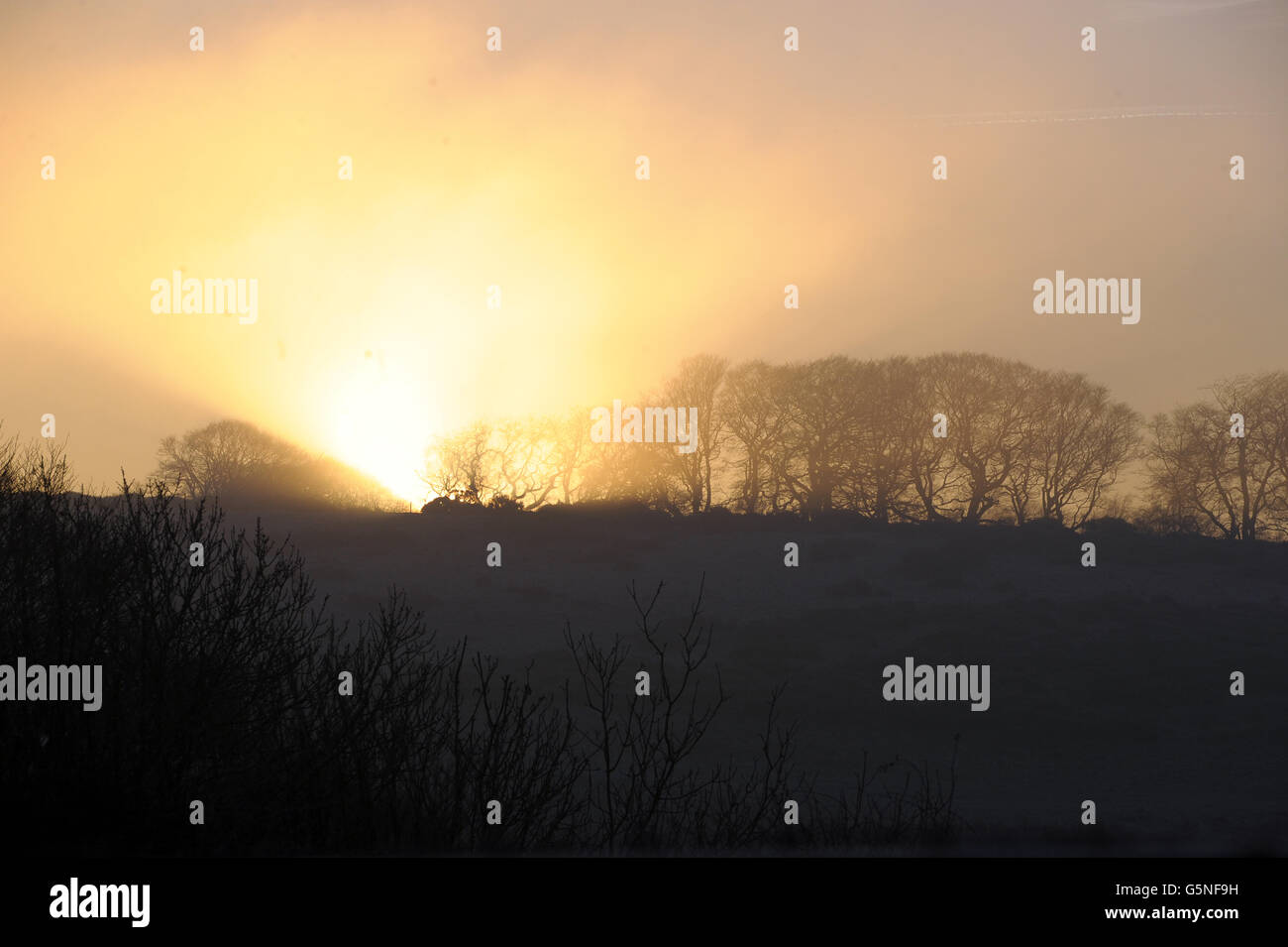 Inverno 11 dicembre. Il sole sorge su un crinale vicino a Wells nel Somerset. Foto Stock