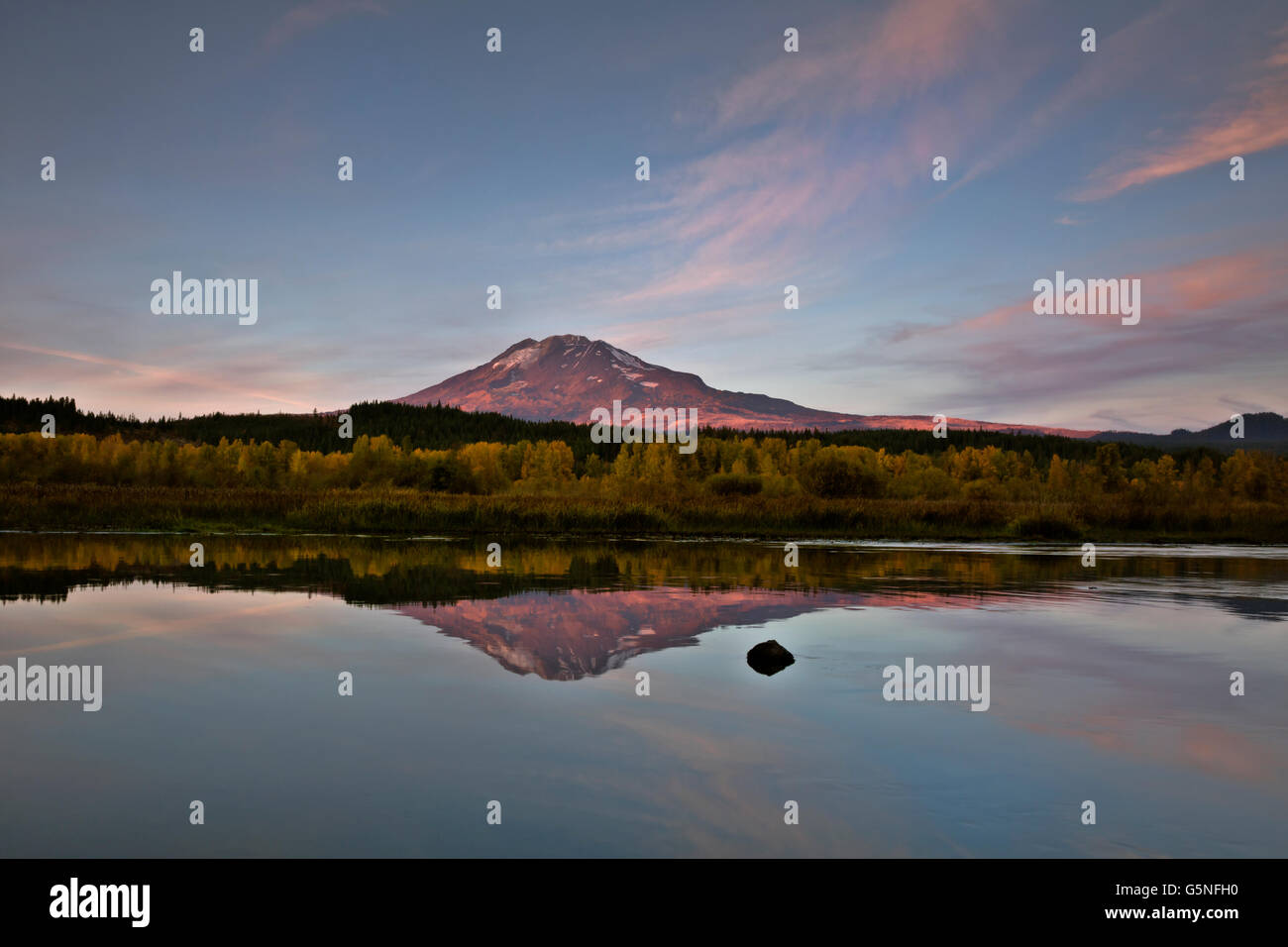 WA12840-00...WASHINGTON - Il Monte Adams riflettendo in acque cristalline del Lago di trote. Foto Stock