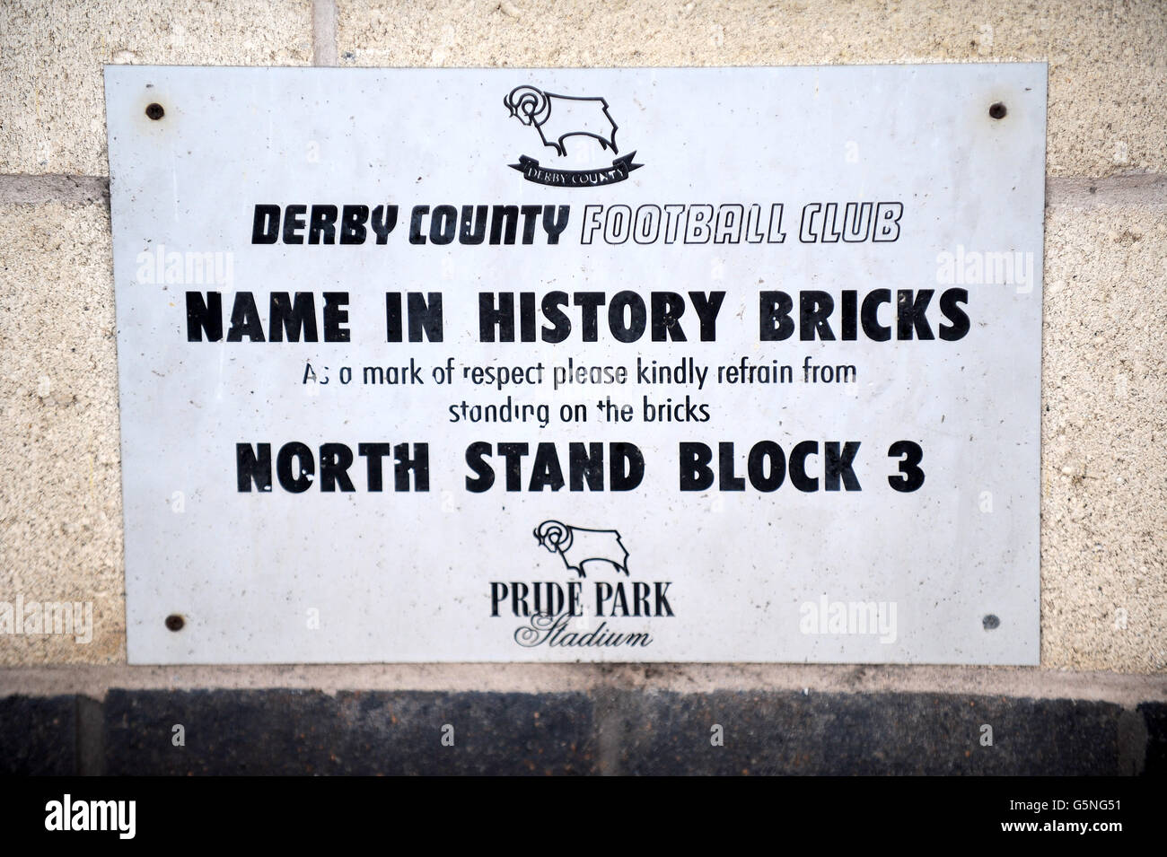 Calcio - npower Football League Championship - Derby County v Leeds United - Pride Park Foto Stock