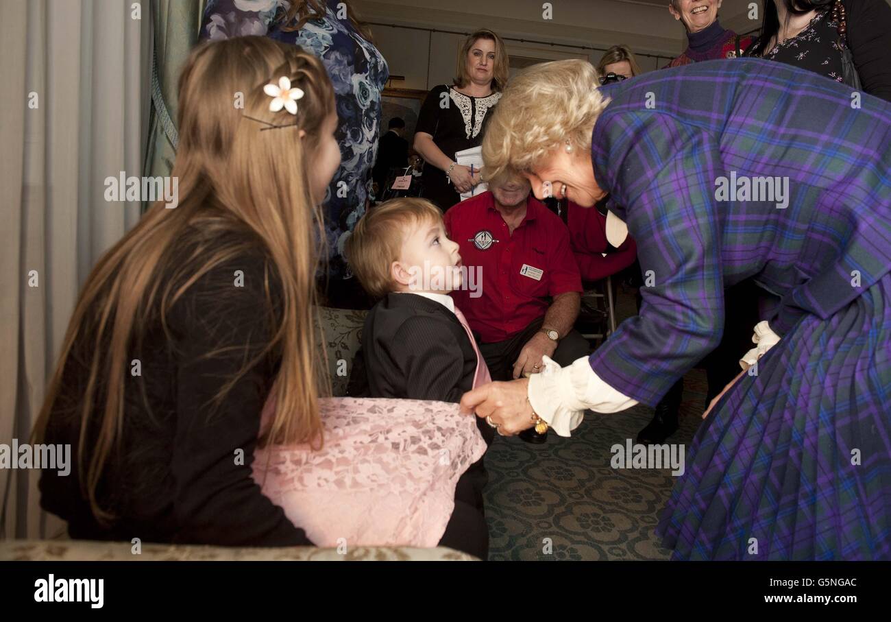 I bambini aiutare Camilla decorare albero Foto Stock