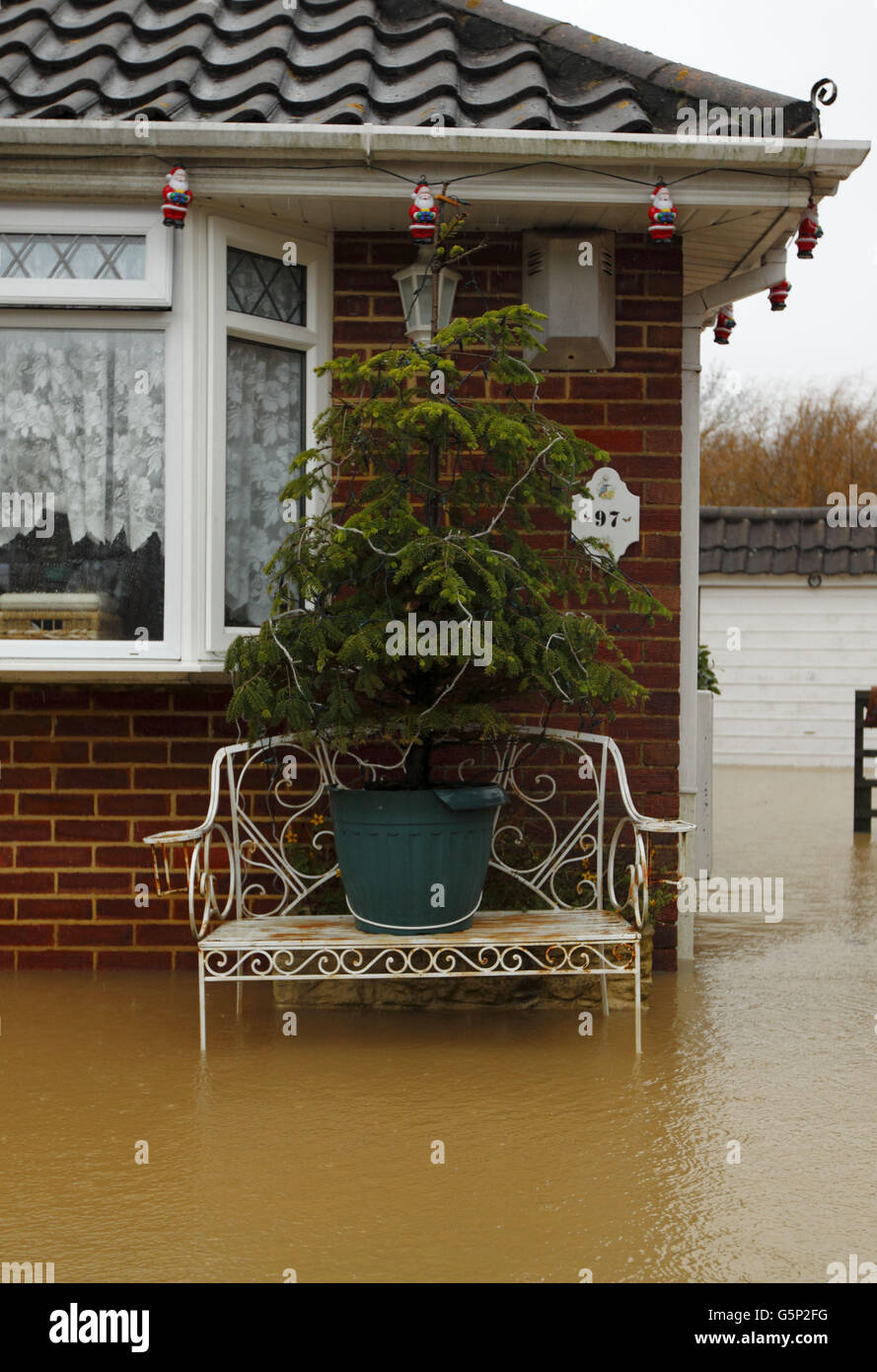 Un albero di Natale si trova su una panchina, fuori dalle acque alluvionali che circondano una proprietà a Emsworth, Hampshire. Foto Stock