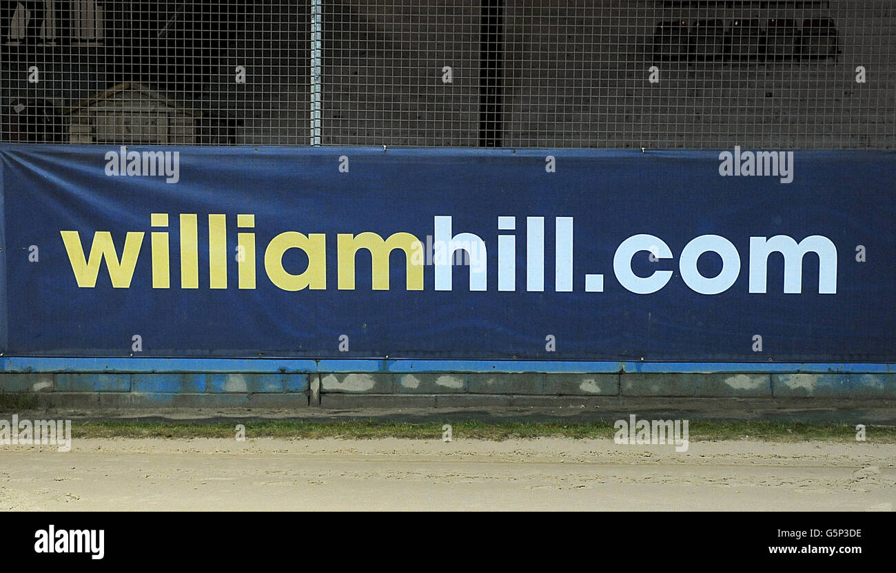 Greyhounds - Williamhill.com Oaks - finale - Stadio Wimbledon Greyhound. Vista generale del marchio William Hill al Wimbledon Greyhound Stadium Foto Stock