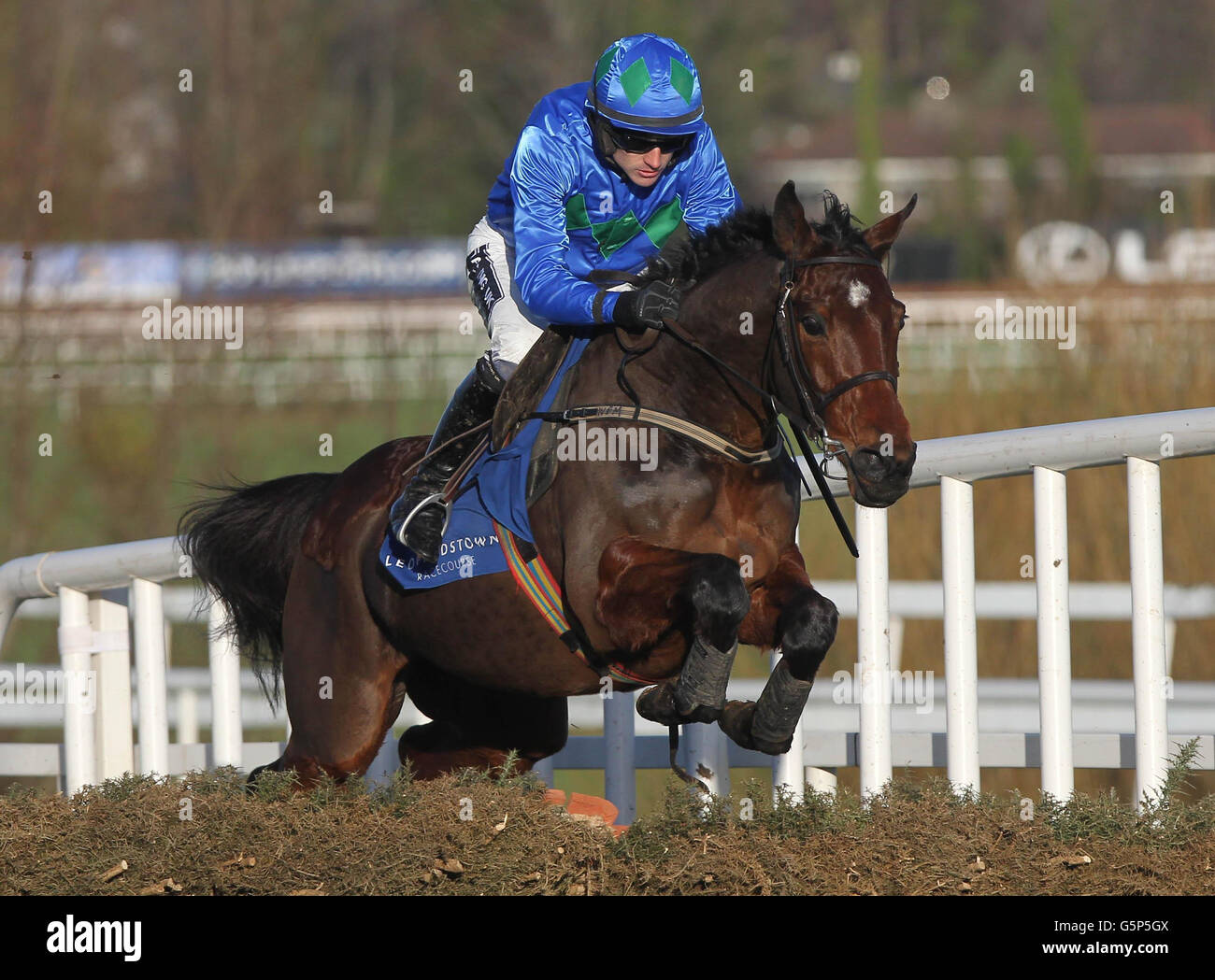 Hurricane Fly ridden by Ruby Walsh vince l'Istabraq Festival Hurdle durante il Leopardstown Christmas Festival all'ippodromo di Leopardstown, Dublino, Irlanda. Foto Stock