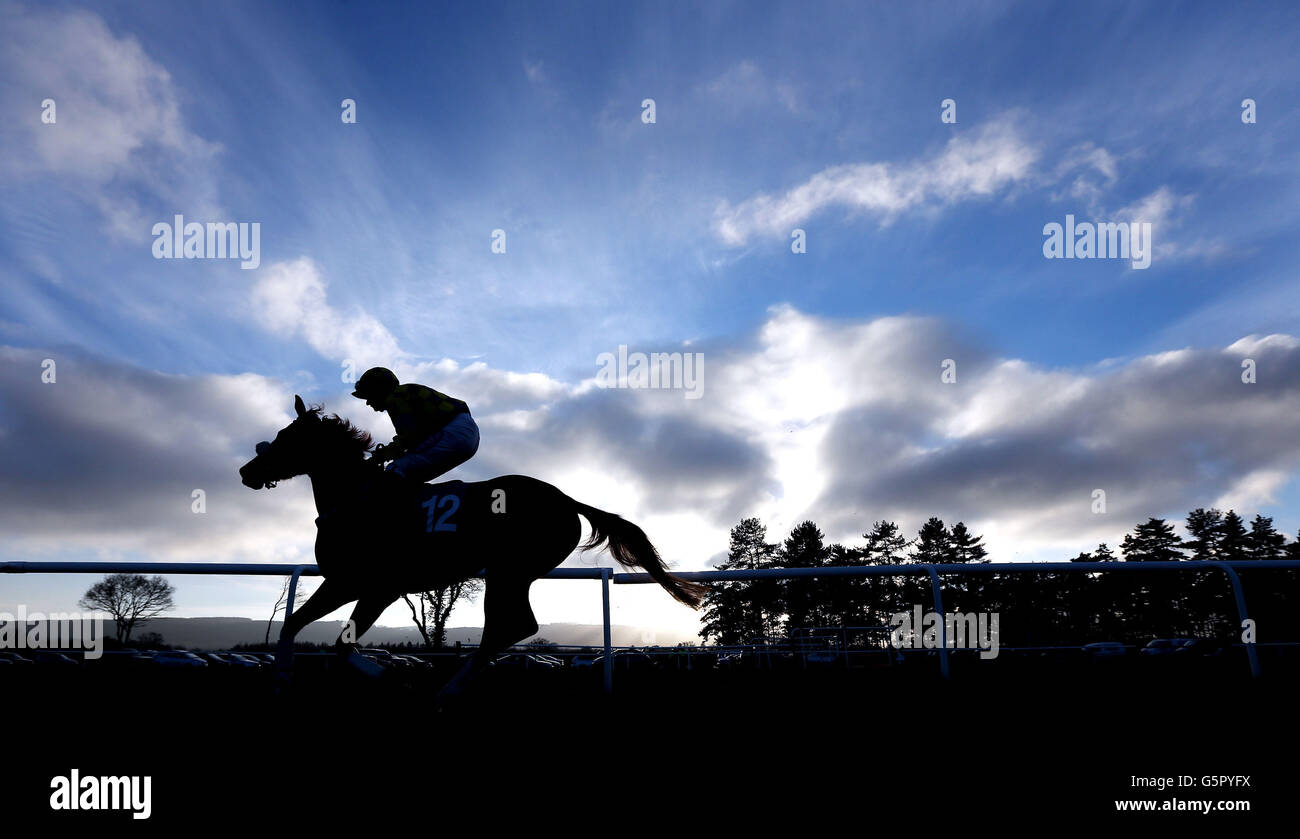 Corse di cavalli - Ippodromo di Ludlow. Brandy Snap guidato da Liam Tredwell fanno il loro modo di postare per il Juvenile Restaurant Maiden Hurdle Juvenile all'ippodromo di Ludlow. Foto Stock