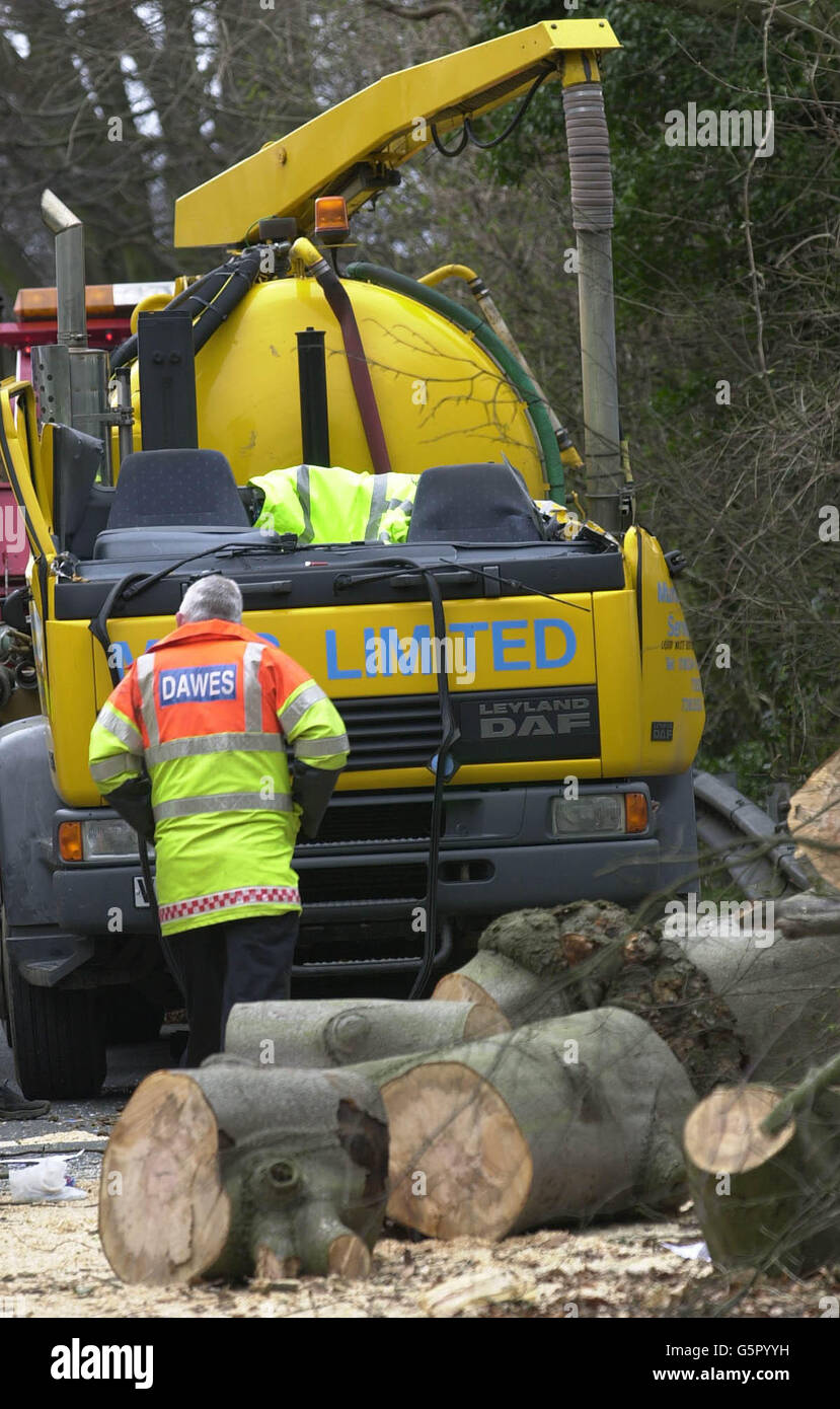 L'autocarro il cui passeggero è stato schiacciato a morte dopo un grande albero di querce è caduto attraverso la strada mentre sedeva in una sosta sulla A 224 vicino Halstead vicino Sevenoaks in Kent questa mattina. Il conducente del camion è riuscito a fuggire senza danni. Foto Stock