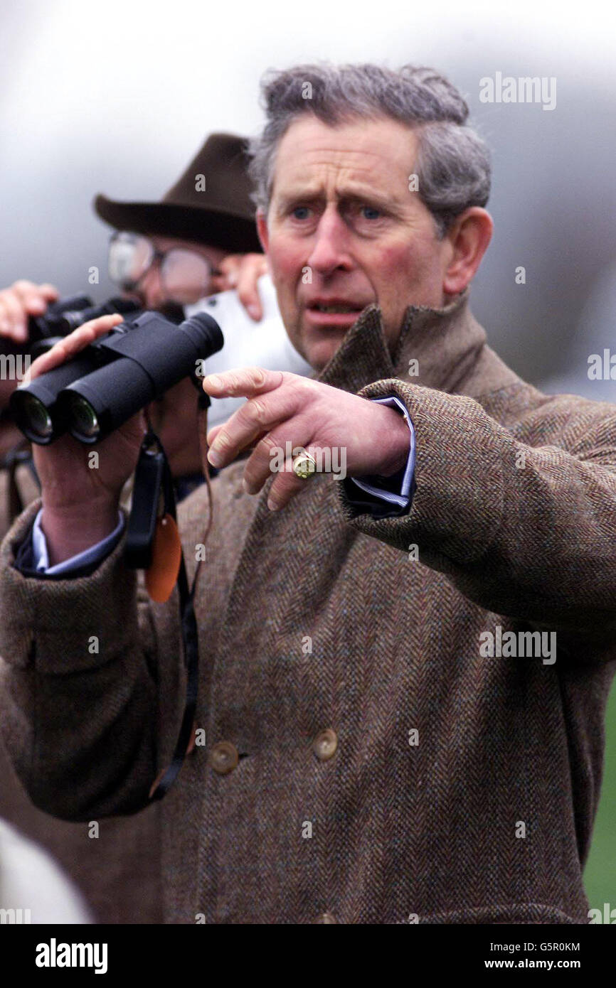 Il Principe del Galles visita l'Ippodromo di Fakenham, Norfolk, per aprire il nuovo Prince of Wales Stand. È stato poi condotto in un tour della sala di pesatura e, dopo essere stato invitato a pranzo, ha presentato i ricordi ai proprietari vincitori. * ... del cavallo che ha vinto il Principe d'apertura del Galles Stand Novices'Chase. Foto Stock Il Principe del Galles visita l'Ippodromo di Fakenham, Norfolk, per aprire il nuovo Prince of Wales Stand. È stato poi condotto in un tour della sala di pesatura e, dopo essere stato invitato a pranzo, ha presentato i ricordi ai proprietari vincitori. * ... del cavallo che ha vinto il Principe d'apertura del Galles Stand Novices'Chase. Foto Stock