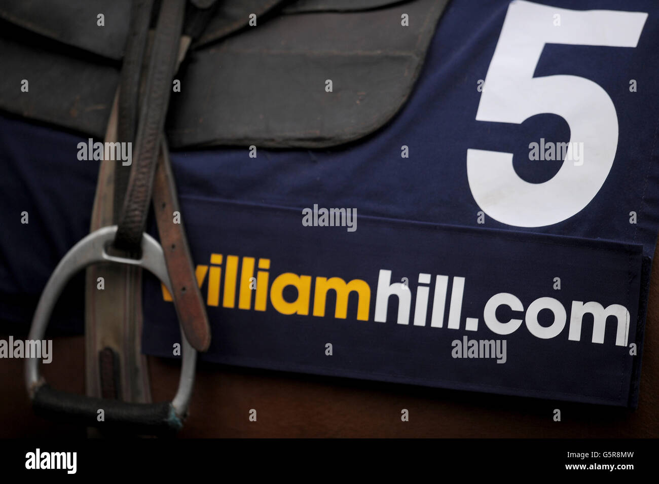 Corse ippiche - William Hill Winter Festival - giorno due - Ippodromo di Kempton Park. Dettaglio del marchio William Hill su un cappotto di cavalli Foto Stock