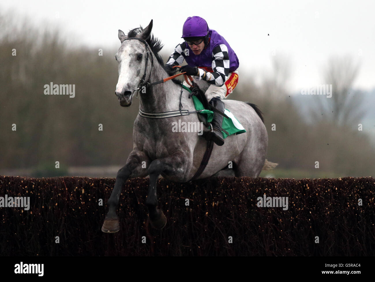 Speedy Bruere guidato da Tom Scudamore nel Dunraven Windows handicap Chase al corso di Chepstow, martedì 8 gennaio 2013. Foto Stock