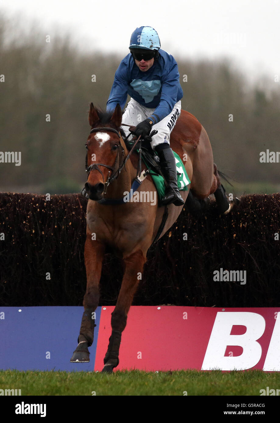 Corse di cavalli - Gennaio sale Race Day - Ippodromo di Chepstow. Cranky Corner indovinato da Sam Thomas nel Dunraven Windows handicap Chase al corso di gara di Chepstow, martedì 8 gennaio 2013. Foto Stock