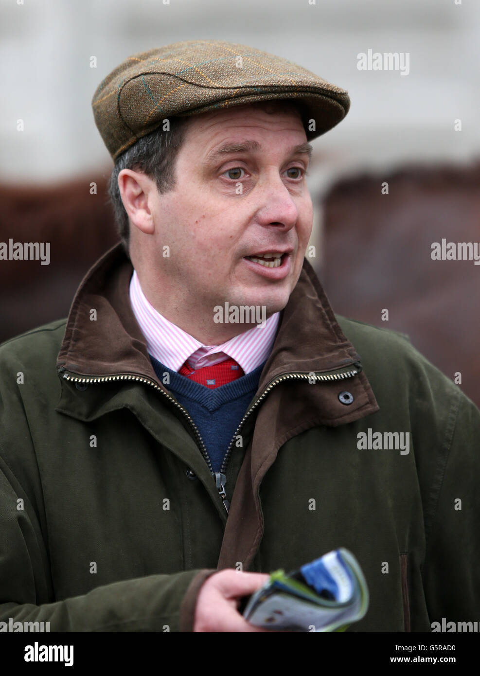 Corse di cavalli - Gennaio sale Race Day - Ippodromo di Chepstow. Allenatore Nigel Hawke al corso di corse di Chepstow, martedì 8 gennaio 2013. Foto Stock