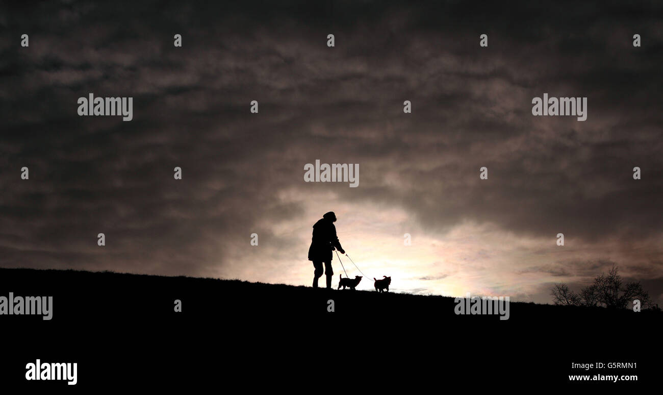 Un Dogwalker e i suoi terrier Jack Russell approfittano del debole sole invernale a Redhouse Park, Birmingham, questo pomeriggio prima del maltempo previsto per il fine settimana. Foto Stock