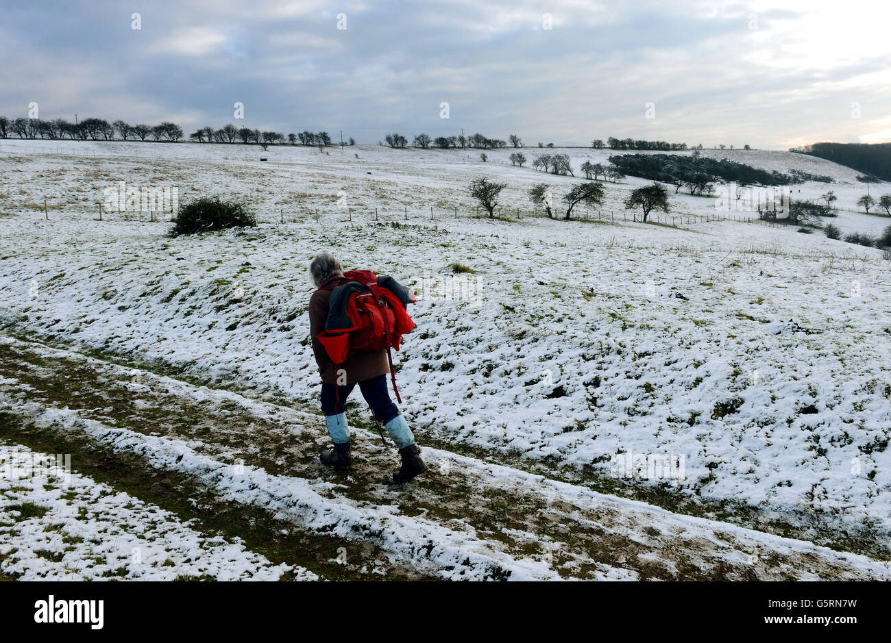 La neve sul terreno alto dei Wolds dello Yorkshire ai pascoli di Millington, vicino a Pocklington, dà ad un camminatore un assaggio del tempo invernale e della neve che si prevede di effettuare molte zone del Regno Unito nei prossimi giorni. Foto Stock