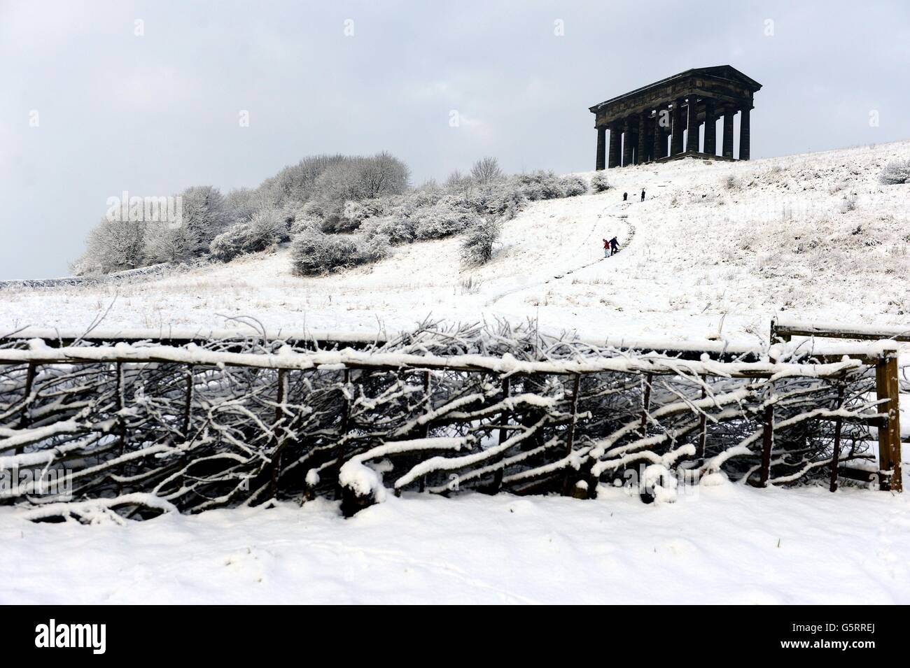 Gli Sledgers scendono lungo il lato di Penshaw Hill dal Penshaw Monument a Sunderland oggi dopo la neve pesante. Foto Stock