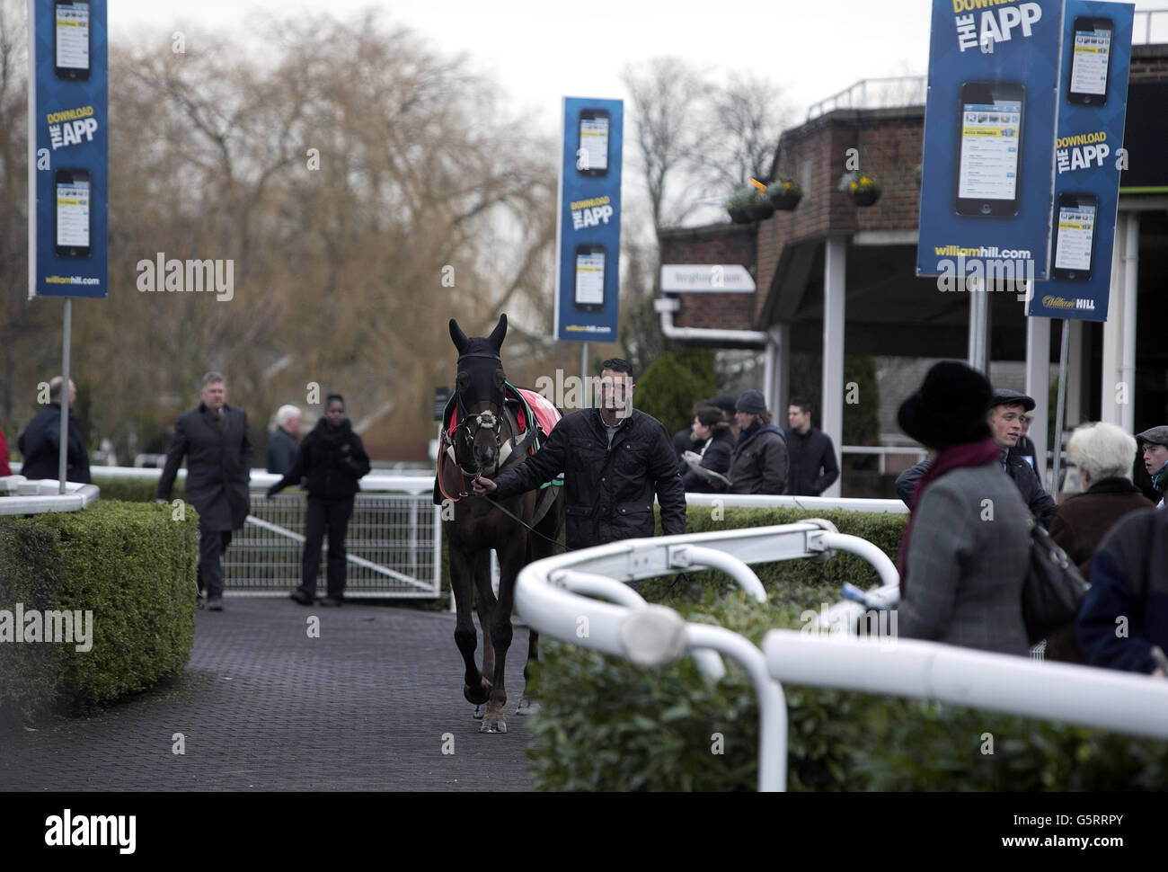 Un cavallo viene sfilato nell'anello della parata durante la giornata dell'uragano William Hill Lanzarote presso l'ippodromo di Kempton, Kempton. Foto Stock