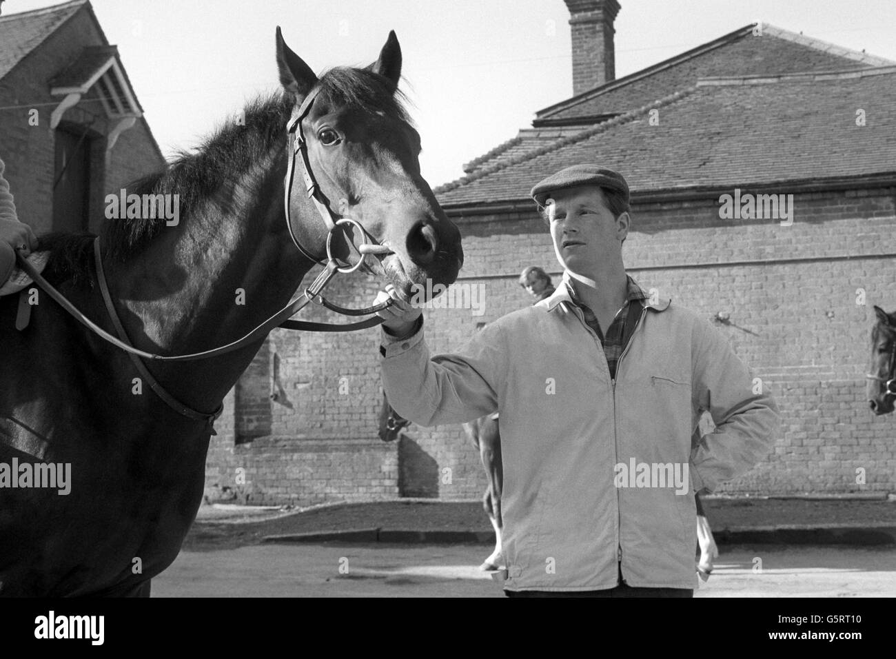 Mill Reef ha un aspetto fiducioso Foto Stock