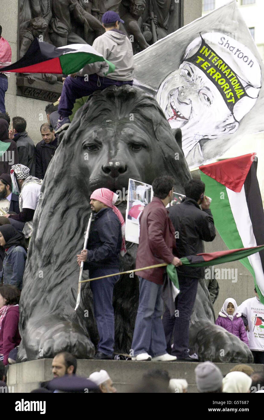 I manifestanti che detengono la bandiera palestinese si trovano sulla testa di uno dei leoni di Trafalgar Square, nel centro di Londra, mentre migliaia di musulmani britannici hanno tenuto una manifestazione nella piazza per protestare contro l'azione israeliana contro i palestinesi in Medio Oriente. *i dimostranti hanno aggrottato e bruciato questa bandiera israeliana mentre hanno sbandierato la colonna di Nelson. Nonostante gli appelli degli organizzatori, l'Associazione Musulmana della Gran Bretagna, per mantenere l'ordine, decine di persone si sono schiantate al centro della piazza gridando 'con Israele' e 'jihad' - che è la chiamata musulmana alla guerra Santa. Foto Stock