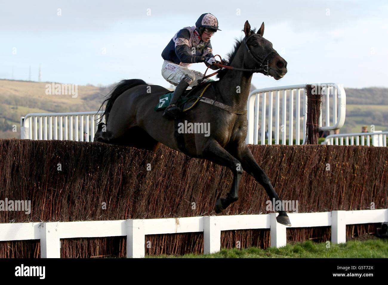 Horse Racing - 2012 L'Incontro Internazionale - Giorno 2 - Cheltenham Racecourse Foto Stock