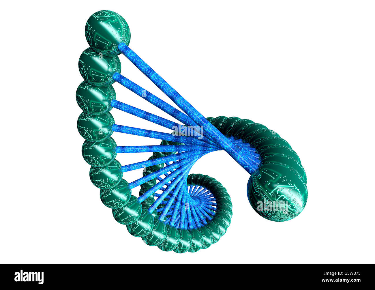 Elica dubble la struttura del DNA isolato su bianco con percorso di clipping, 3d illustrazione Foto Stock