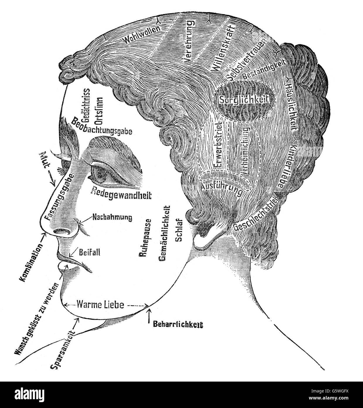 Medicina, anatomia, fisiognomia, tratti di carattere di una dirigenza, incisione del legno, da: Friedrich Eduard Bilz, New Naturopathic Treatment, Leipzig, Germania, 1902, Additional-Rights-Clearences-Not Available Foto Stock