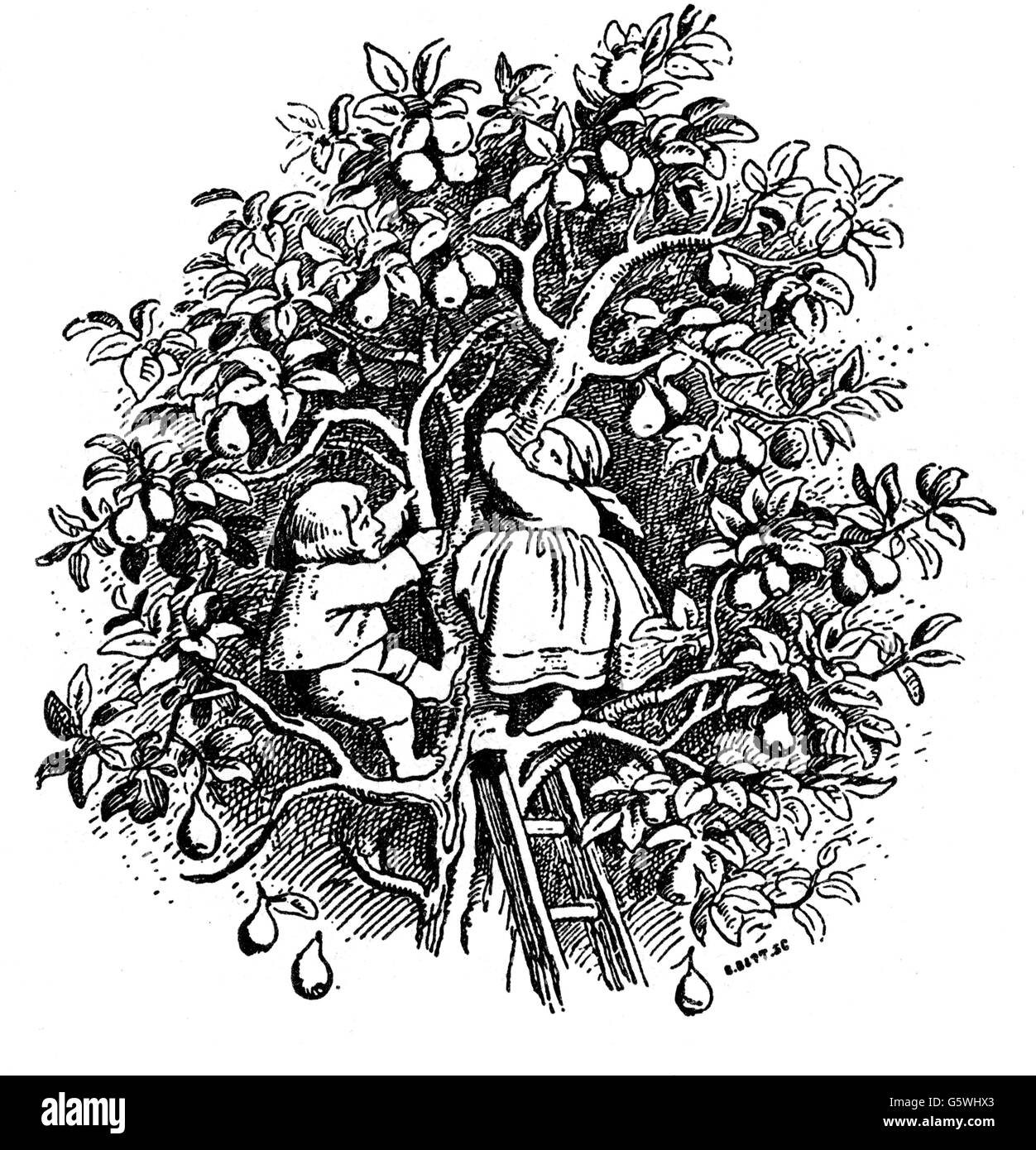 Letteratura,favola,Grimm Brothers,Hansel e Gretel,i bambini scuotendo le pere,disegno di Maurice da Schwind(1804 - 1871),XIX secolo,XIX secolo,grafica,fiaba per bambini,favola,favola,favola,favola,favola,favola,favola,favola,favola,favola,lunghezza,picchiatura,albero,picchiata,albero,parata,parata,parata,parata,parata,parata,parata,parata,parata,parata,parata,parata,parata,parata,parata,parata,parata,parata,parata,parata,parata,parata,parata,parata,parata,parata,parata,parata,parata,parata,parata,parata, Foto Stock