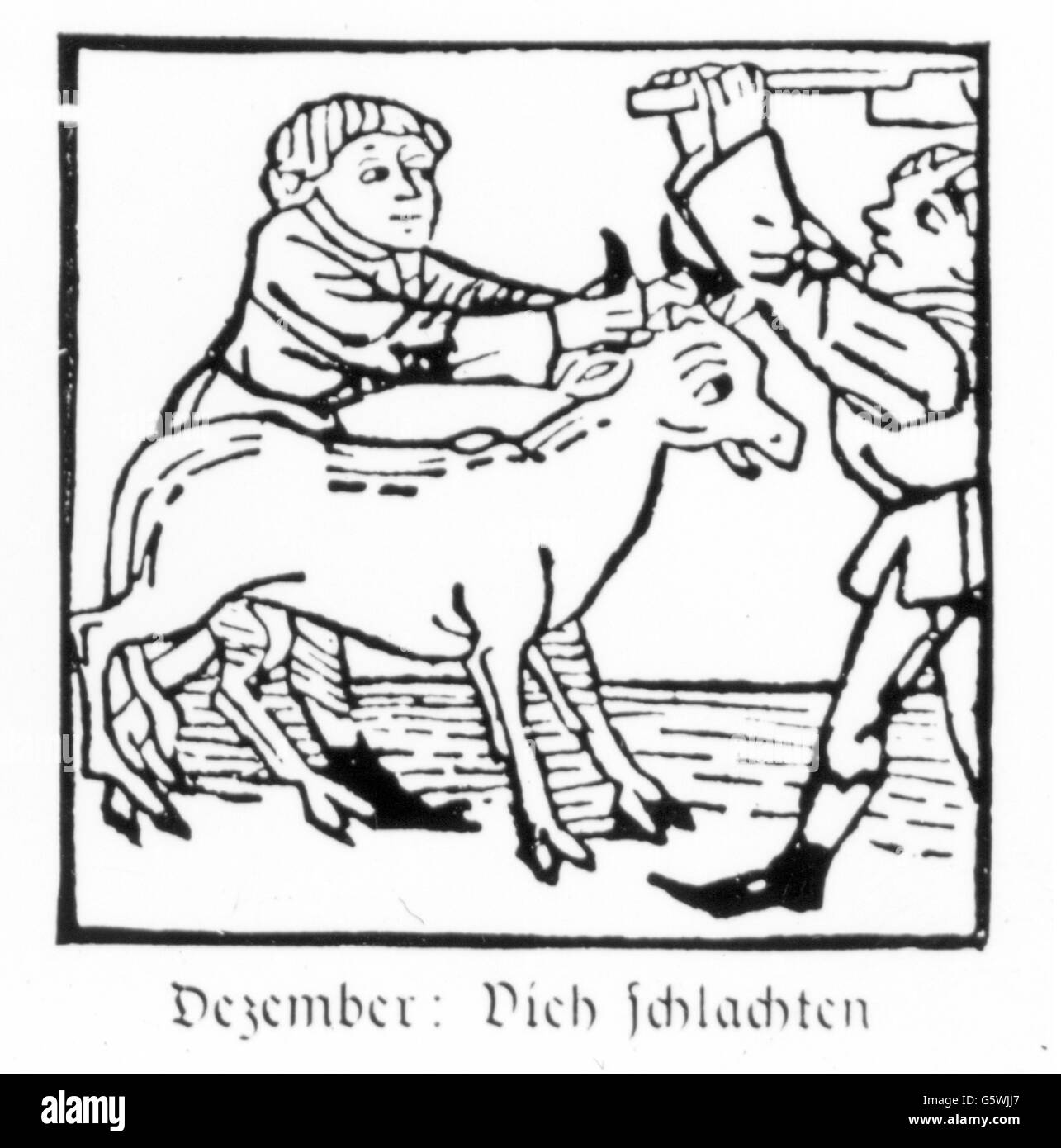 Stagione, 'dicembre', macellazione di bovini, taglio di legno, stampa: Johann Bämler, Augusta, circa 1483, diritti-aggiuntivi-clearences-non disponibile Foto Stock