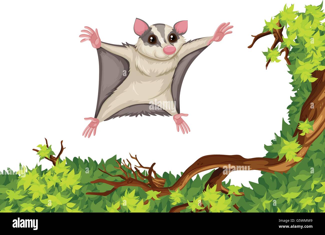 Lo scoiattolo volante volare sopra l'albero illustrazione Illustrazione Vettoriale