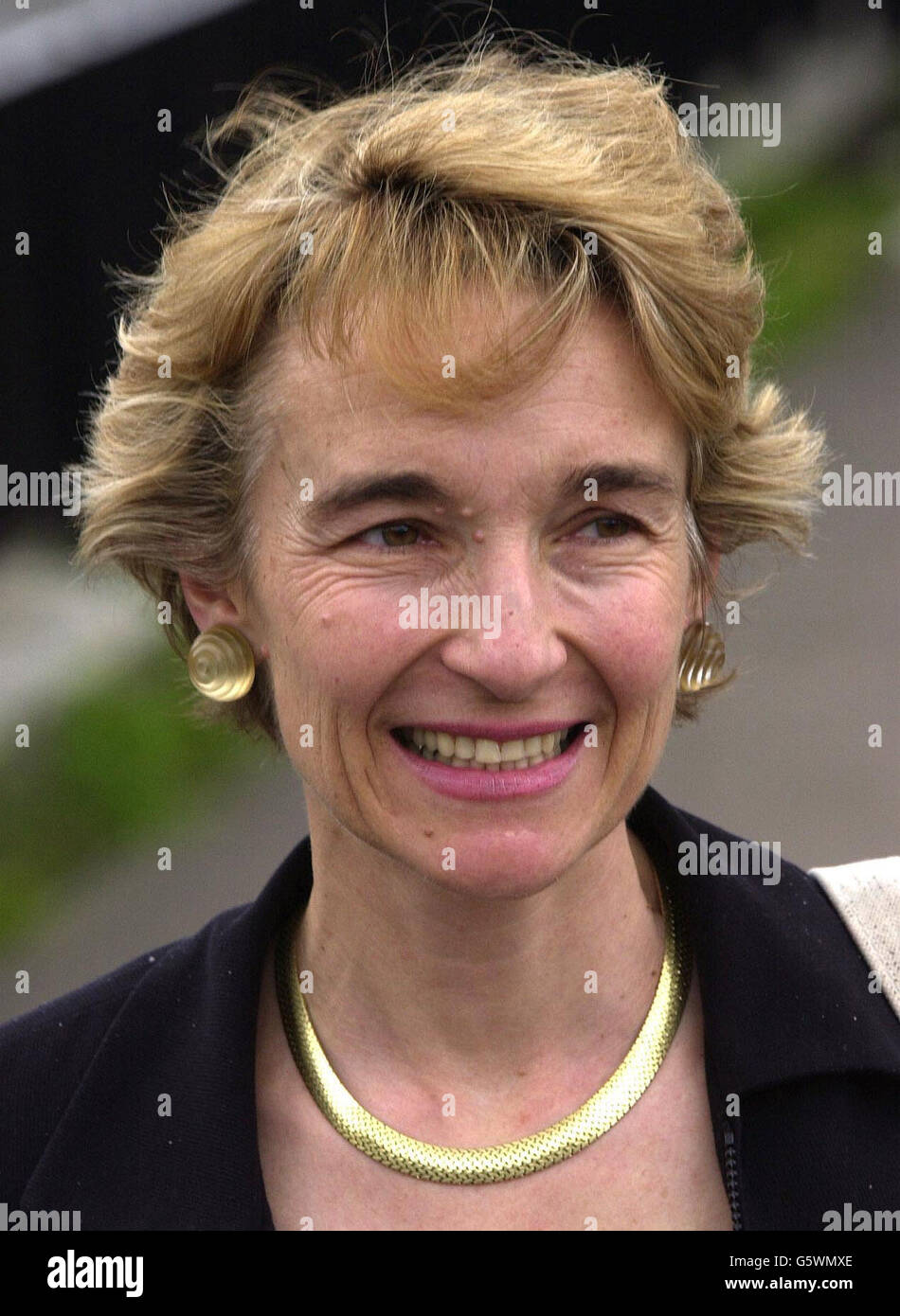 Artista Sarah Willetts, 48, la moglie di David Willetts - portavoce Tory sulla sicurezza sociale - fuori dalla corte della Corona di Brentford a Londra ovest dove un giudice ha risolto un argomento su due immagini dipinte mentre la coppia è rimasta con gli amici in Provenza l'estate scorsa. Il giudice ha stabilito che un dipinto era un dono per la Hoods in cambio di soggiorno alla villa, e che l'altro dovrebbe essere restituito dalla coppia a Sarah. Foto Stock