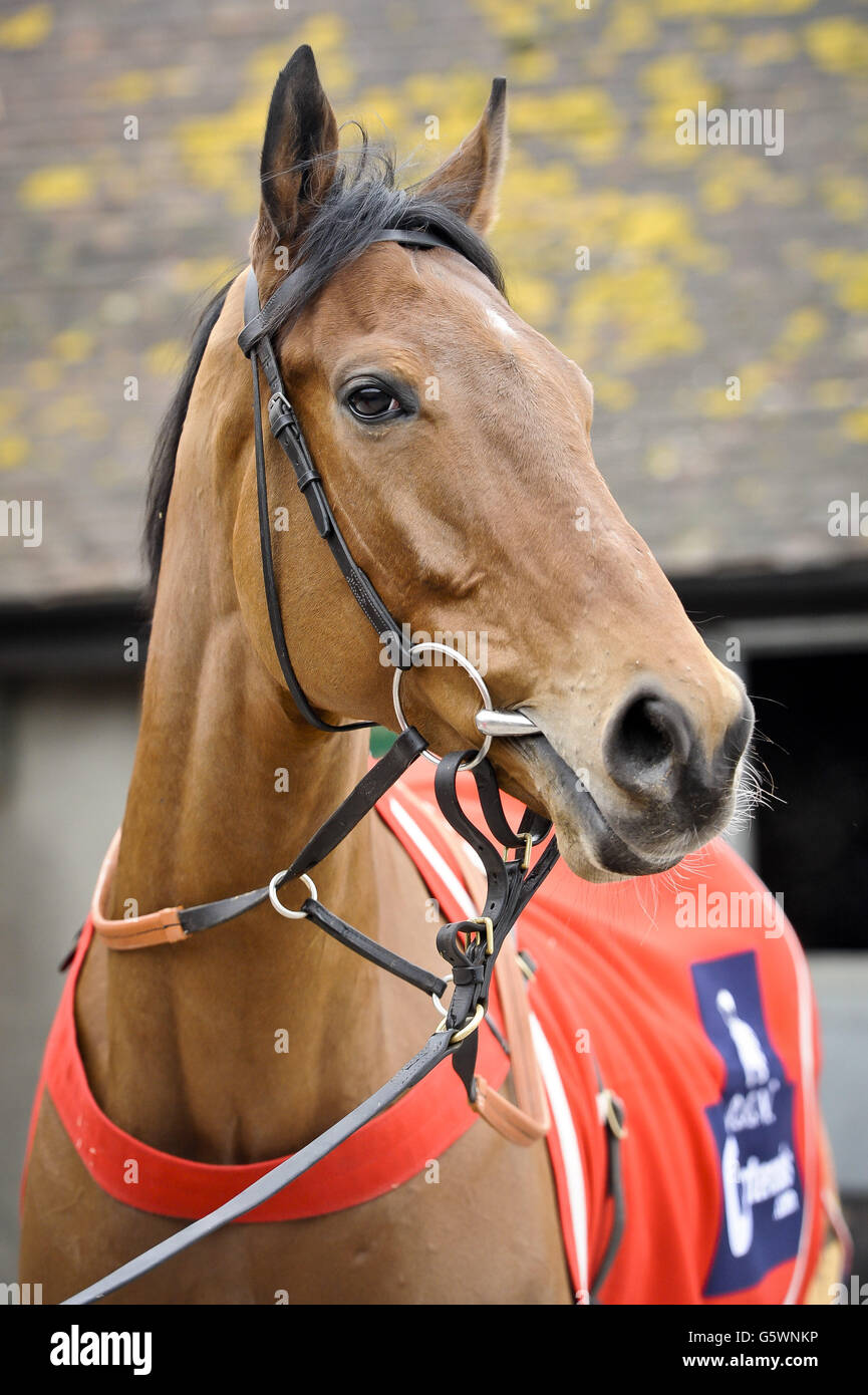 Vincitore del premio Sam durante la visita alla Paul Nicholls Manor Farm Stables, Ditcheat. Foto Stock