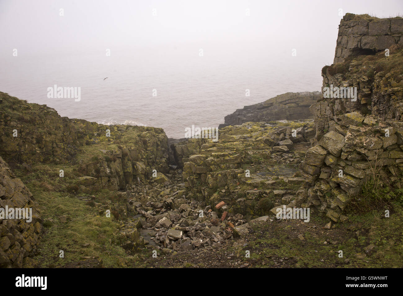 Una vista generale di rocce e mare sull'isola di Flat Holm. Flat Holm (gallese: Ynys Echni) è un'isola calcarea nel canale di Bristol a circa 6 km da Lavernock Point nella vale di Glamorgan, ma nella città e nella contea di Cardiff. Comprende il punto più meridionale del Galles. L'isola ha una lunga storia di occupazione, che risale almeno ai periodi anglosassoni e vichinghi. Gli usi religiosi includono visite da parte dei discepoli di Saint Cadoc nel 6 ° secolo, e nel 1835 è stato il luogo della fondazione della missione del canale di Bristol, che in seguito divenne la missione per i marittimi. R Foto Stock