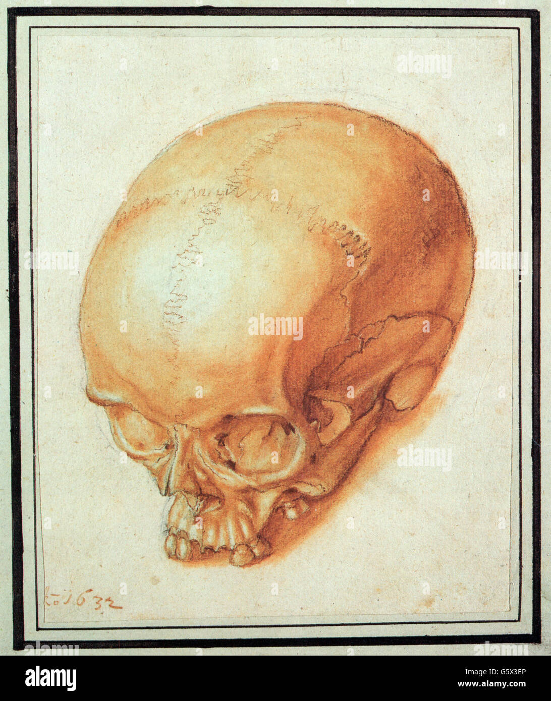 Belle arti, Meyer, Rudolf (1605 - 1638), disegno, 'skull - memento mori', 1632, penna, gesso e inchiostro su carta fatta a mano, 17,9 x 14,1 cm, diritti aggiuntivi-clearences-non disponibile Foto Stock