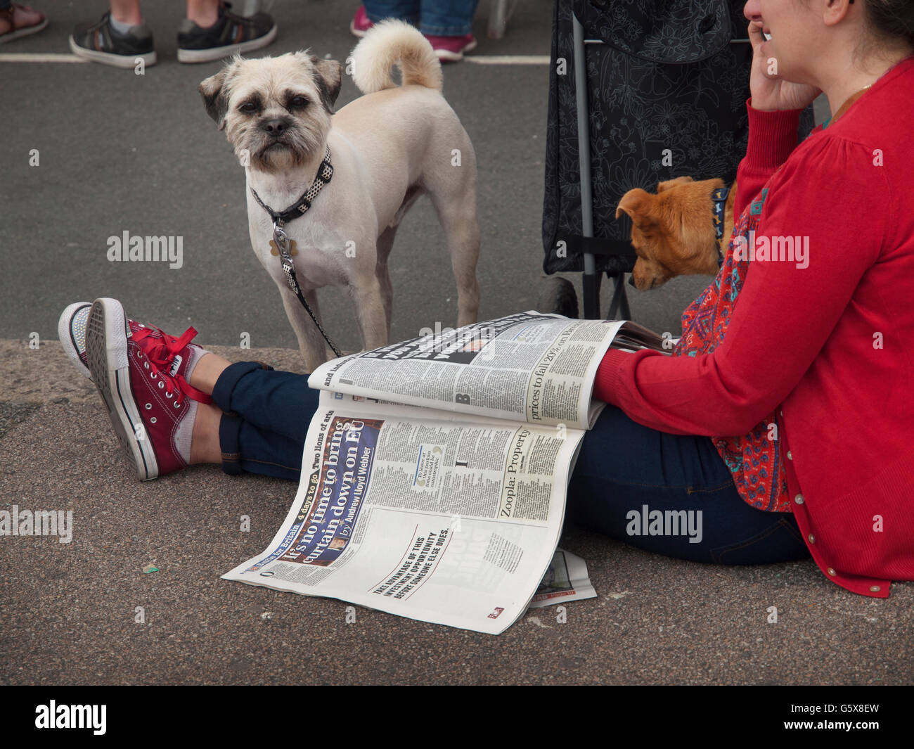 Una donna in Brighton si siede sul pavimento con i suoi cani durante la lettura della carta Foto Stock