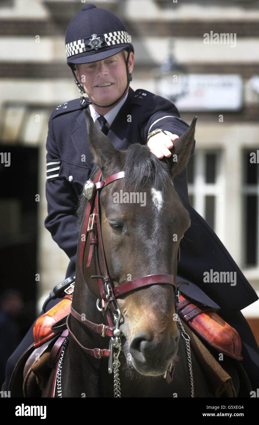 Il sergente Alistair Blamire con il suo cavallo Alamein che era tornato in servizio a Great Scotland Yard, dopo essere stato gravemente ferito in rivolte al di fuori della squadra di calcio Millwall all'inizio di questo mese. * Alamein subì un'arteria rotta verso il suo frontale destro dopo che un tuono esplose sotto di lui facendogli atterrare su una macchina. Trascorrerà ora il fine settimana pattugliando le celebrazioni del Giubileo d'oro della Regina. Foto Stock