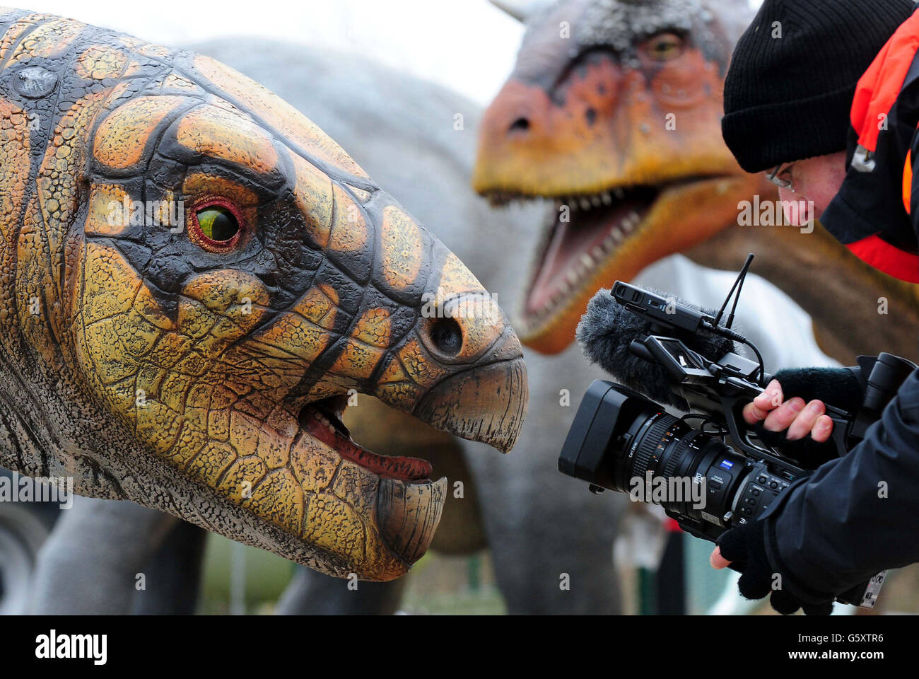 Un dinosauro di Edmontonia viene girato durante il suo arrivo allo Zoo di Twycross dove quindici dinosauri sono la caratteristica principale di una nuovissima attrazione che apre Pasqua 2013, Dinosaur Valley allo zoo di Warwickshire. Foto Stock