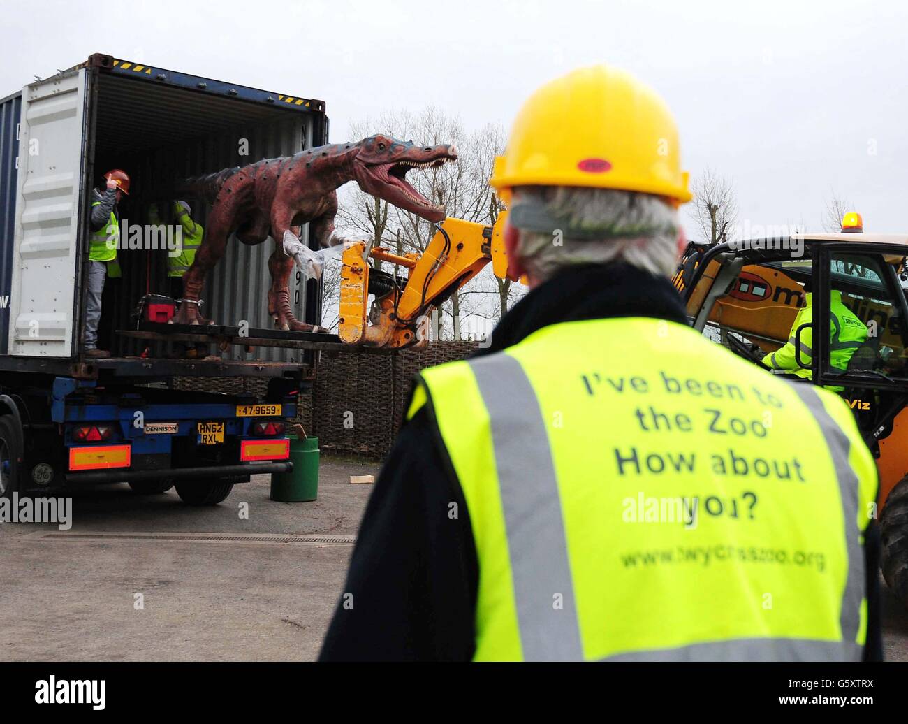Un dinosauro Baryonyx viene scaricato durante il suo arrivo a Twycross Zo, dove quindici dinosauri sono la caratteristica principale di una nuova attrazione che apre la Pasqua 2013, Dinosaur Valley presso lo zoo di Warwickshire. Foto Stock