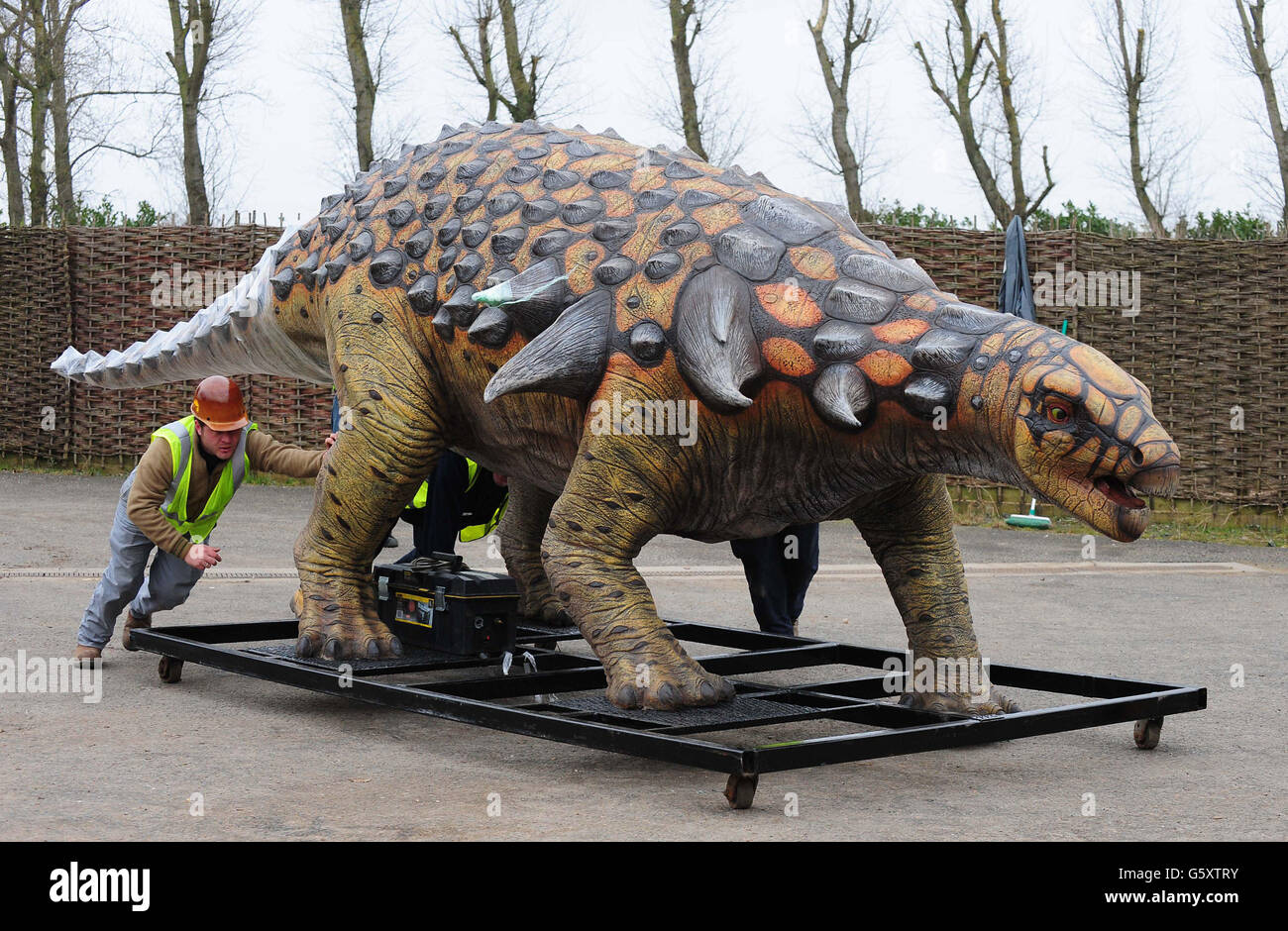Un dinosauro Edmontonia viene spinto in posizione durante il suo arrivo a Twycross Zo dove quindici dinosauri sono la caratteristica principale di una nuova attrazione che apre Pasqua 2013, Dinosaur Valley presso lo zoo di Warwickshire. Foto Stock