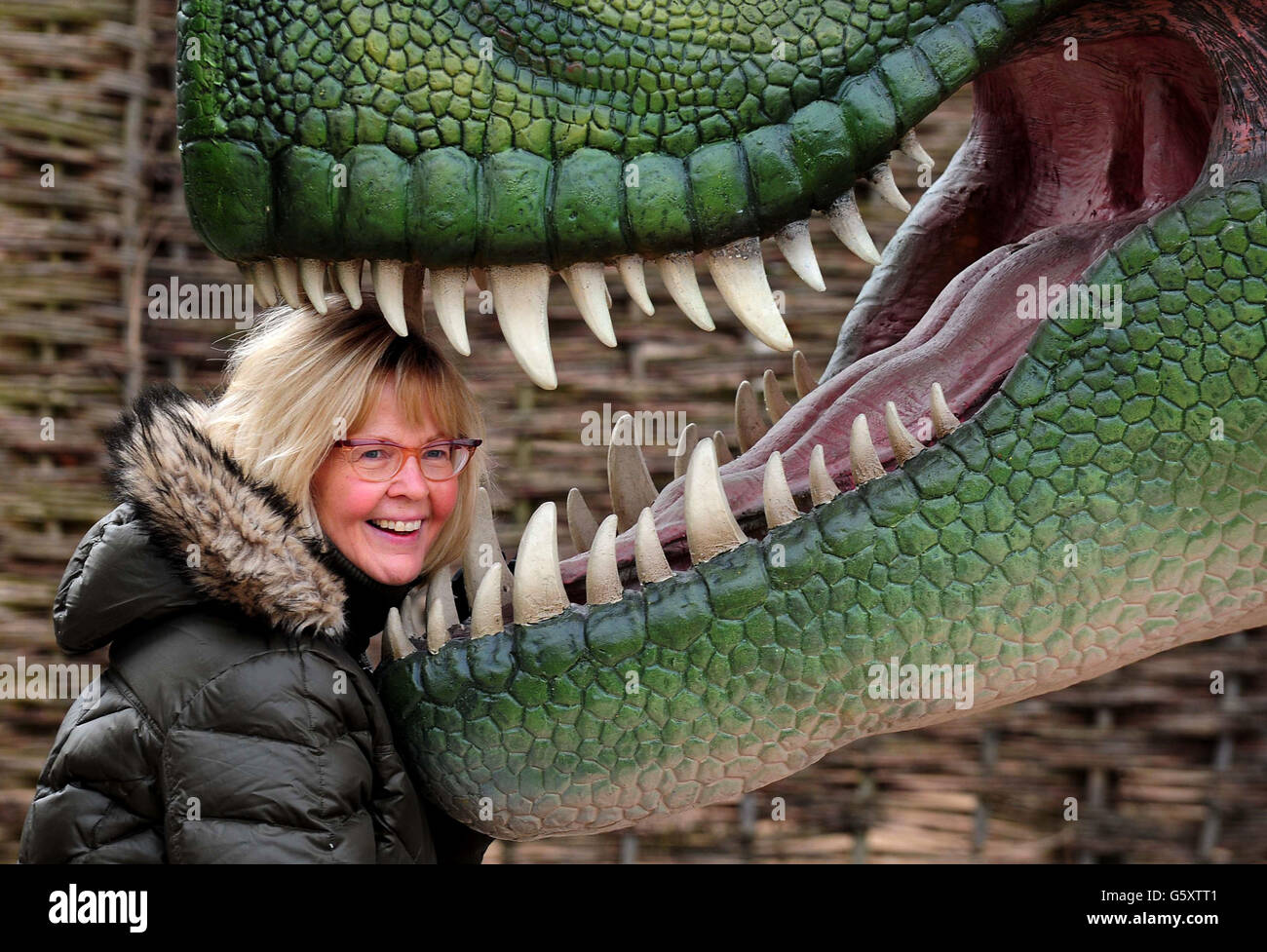 Twycross Zoo Chief Executive Dr Mary Lorraine Hughes durante l'arrivo di 15 dinosauri dove sono la caratteristica principale di una nuova attrazione apertura Pasqua 2013, Dinosaur Valley presso lo zoo di Warwickshire. Foto Stock