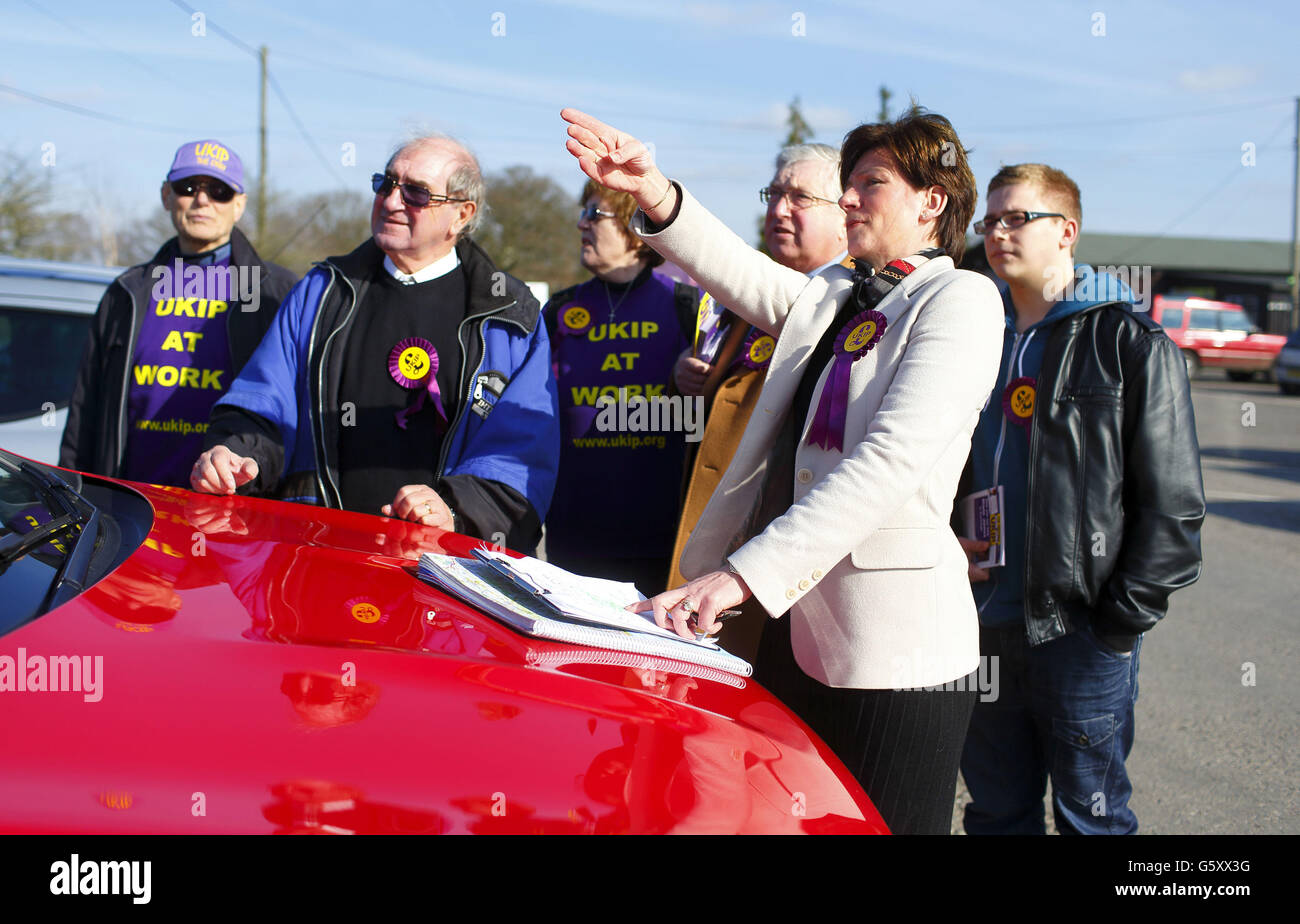 Diane James, il potenziale candidato parlamentare dell'UKIP, con i suoi sostenitori durante la campagna elettorale di Eastleigh, Hampshire, nel sito verde dove il consiglio locale dovrebbe concedere il permesso per 14,000 nuove case in un voto questa sera. Foto Stock