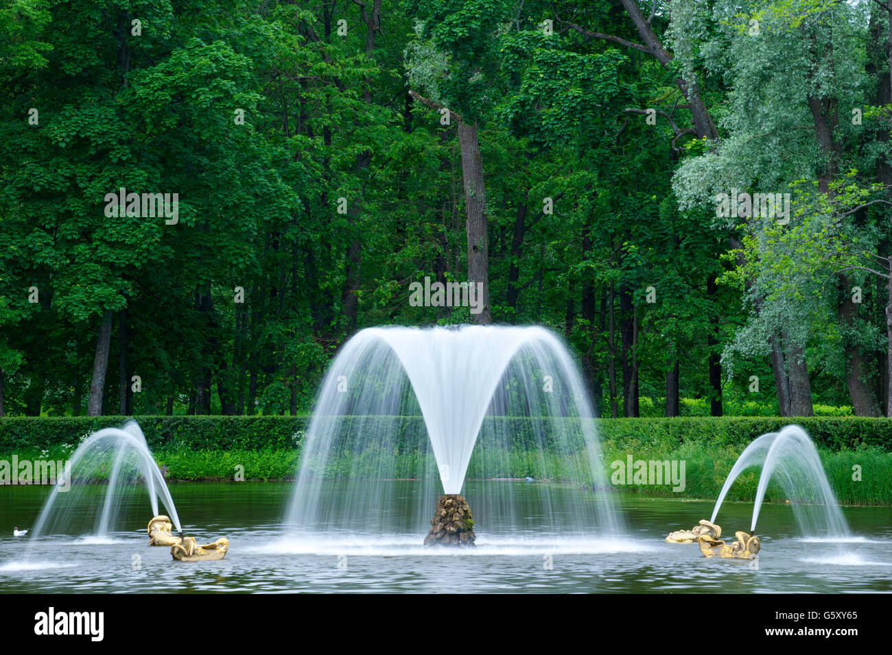 Fontane nei giardini di Peterhof, Petrodvorets, San Pietroburgo, Russia Foto Stock