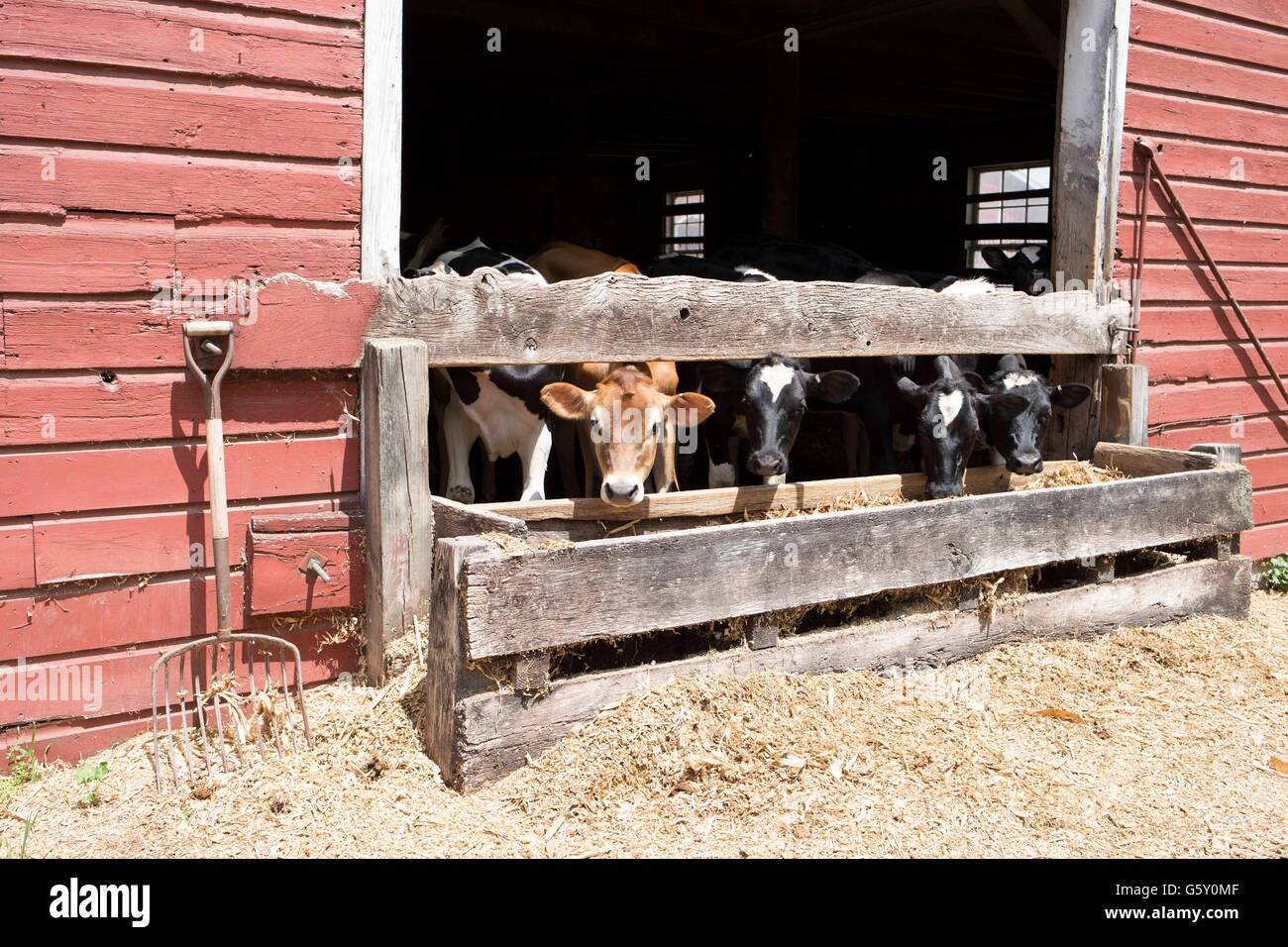 Agriturismo a Catskill NY Foto Stock